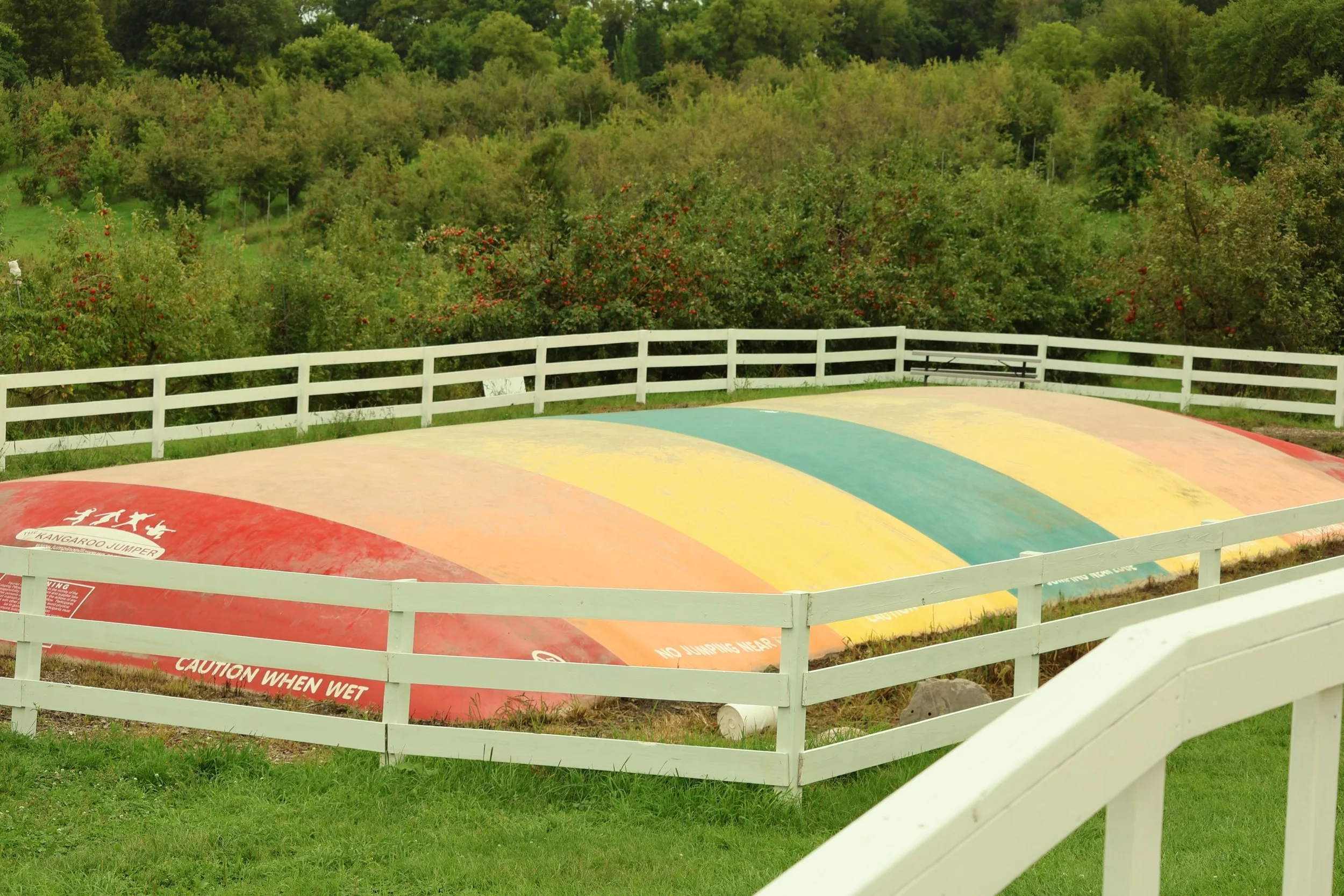 A colorful rainbow-themed jumping pillow surrounded by a white wooden fence, with green trees and foliage in the background.