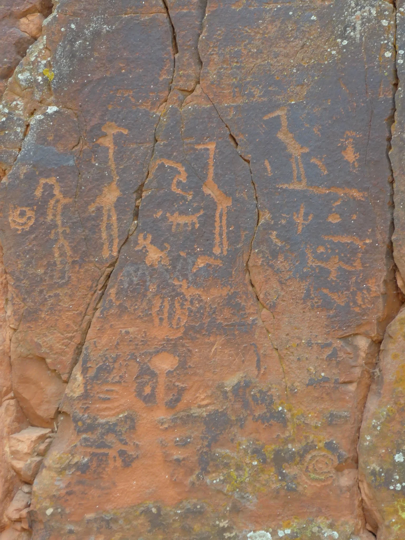 An image of the Crane Petroglyph Heritage Site