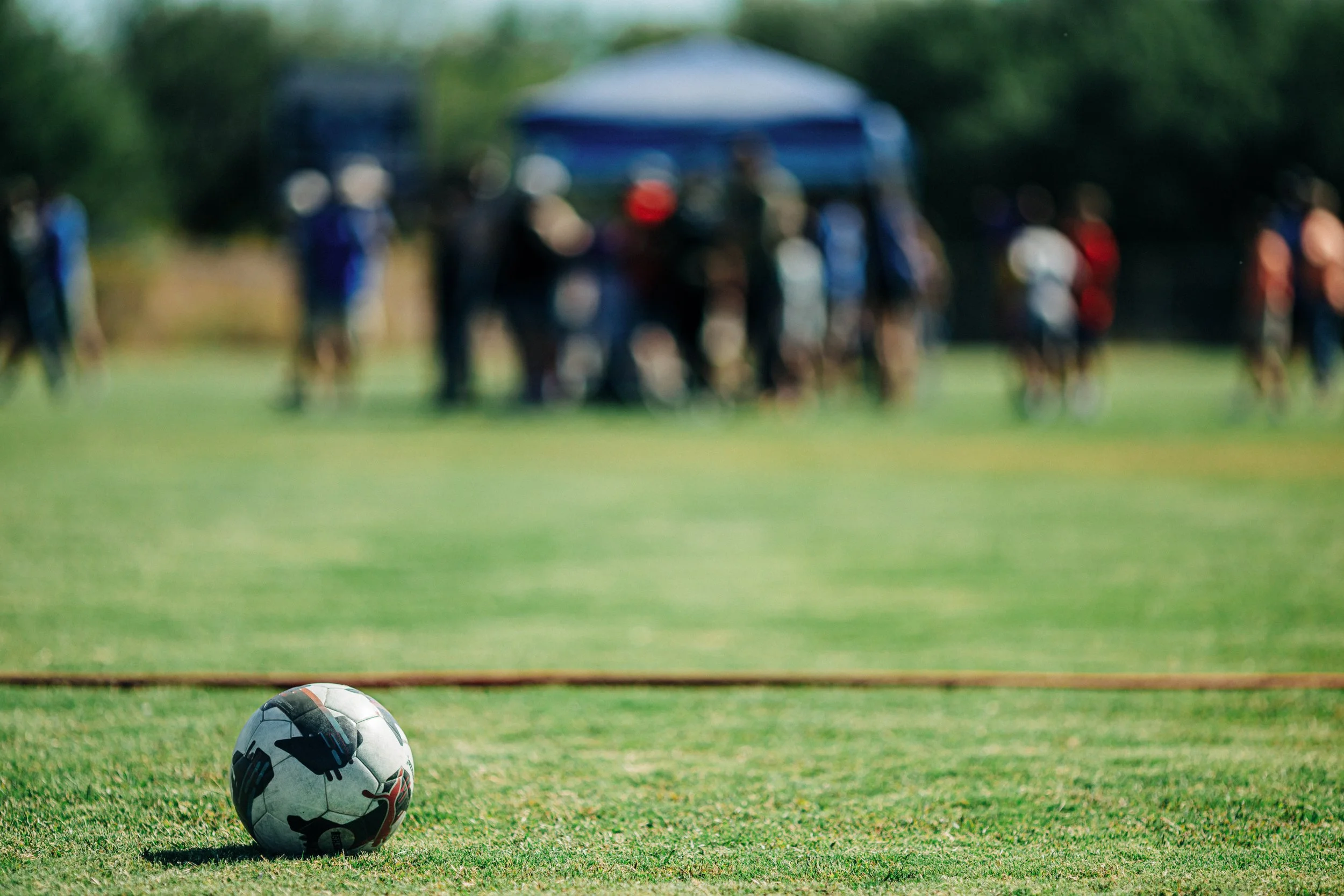 DCSFallFieldDay2026_AaronTremblay-9391.jpg
