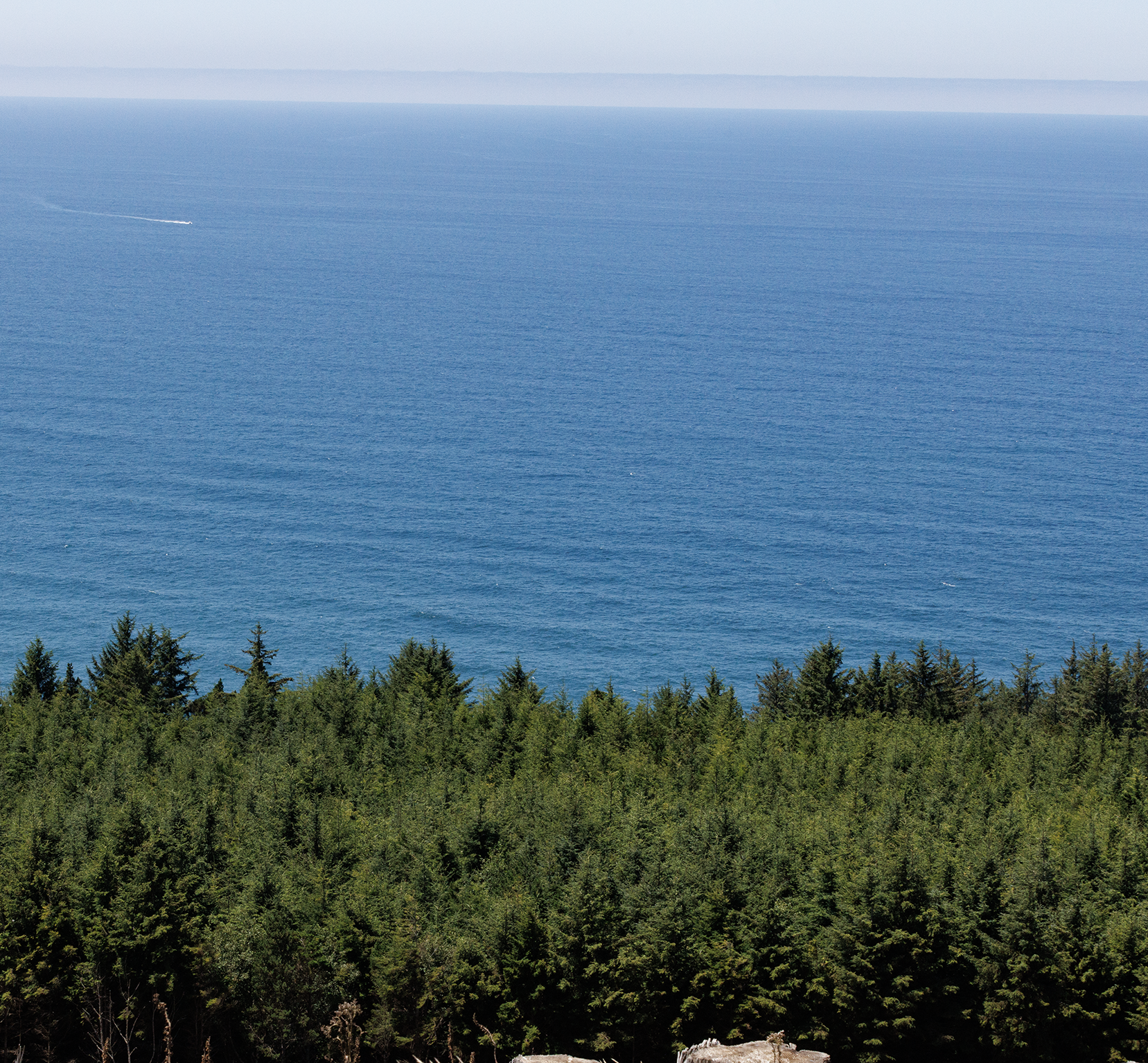 Whole Property Views