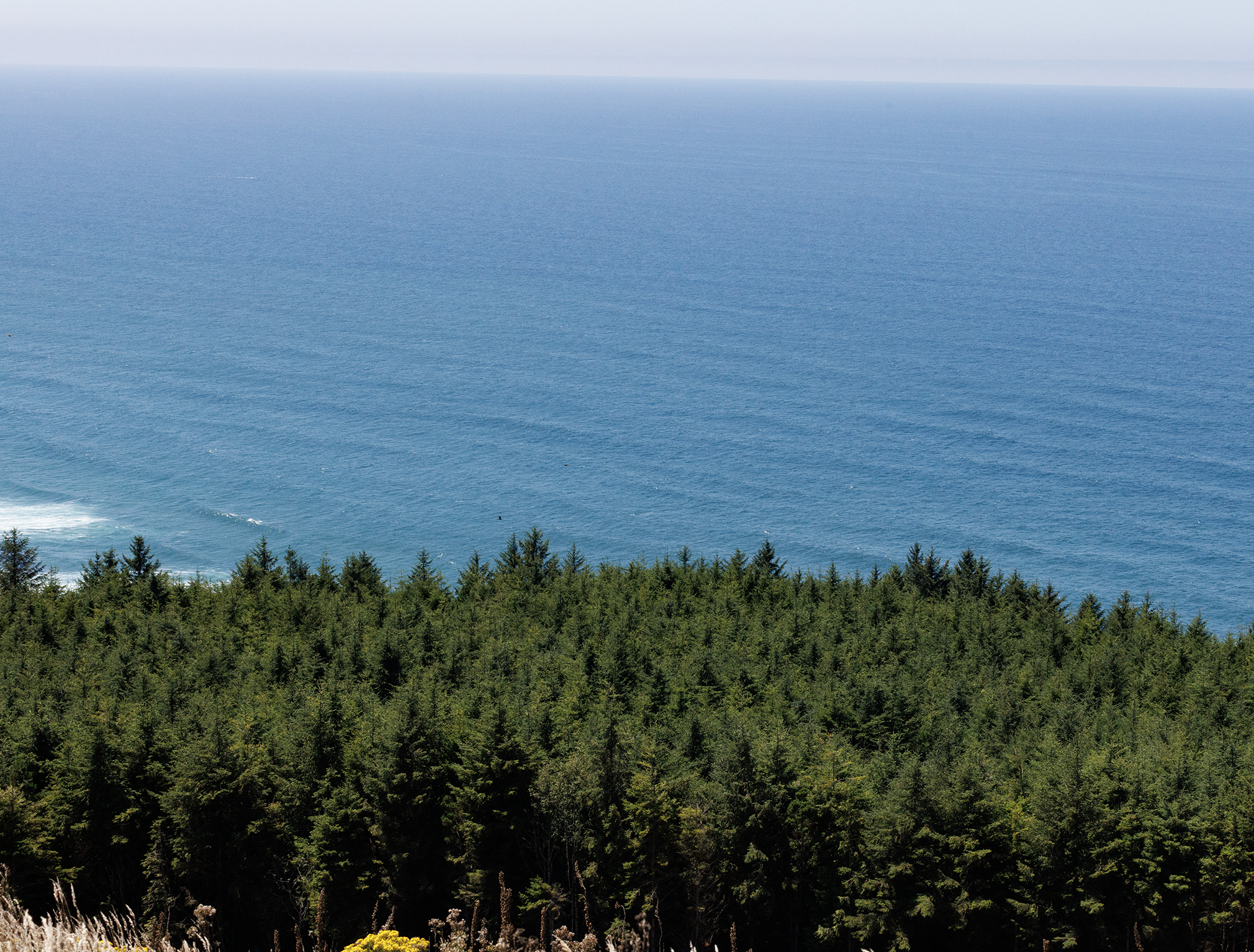 Whole Property Views