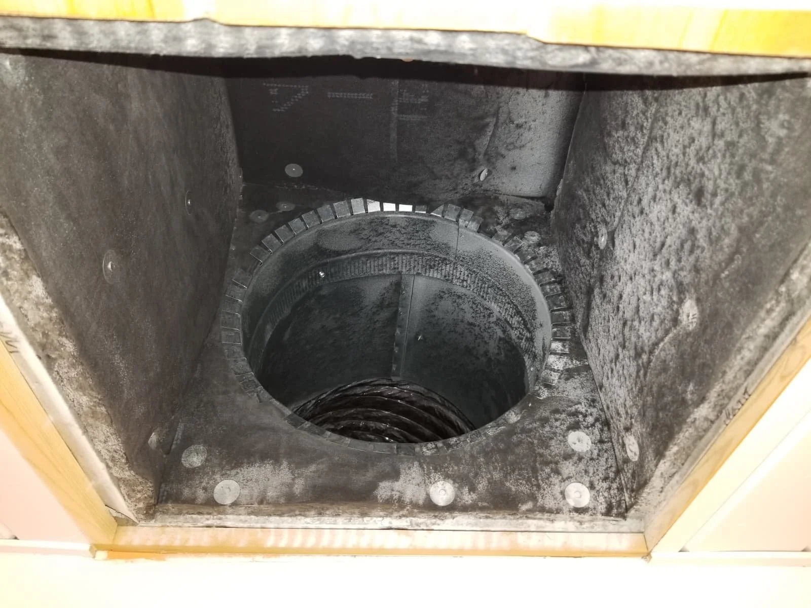 Inside a dishwasher showing the lower filter and spray arm