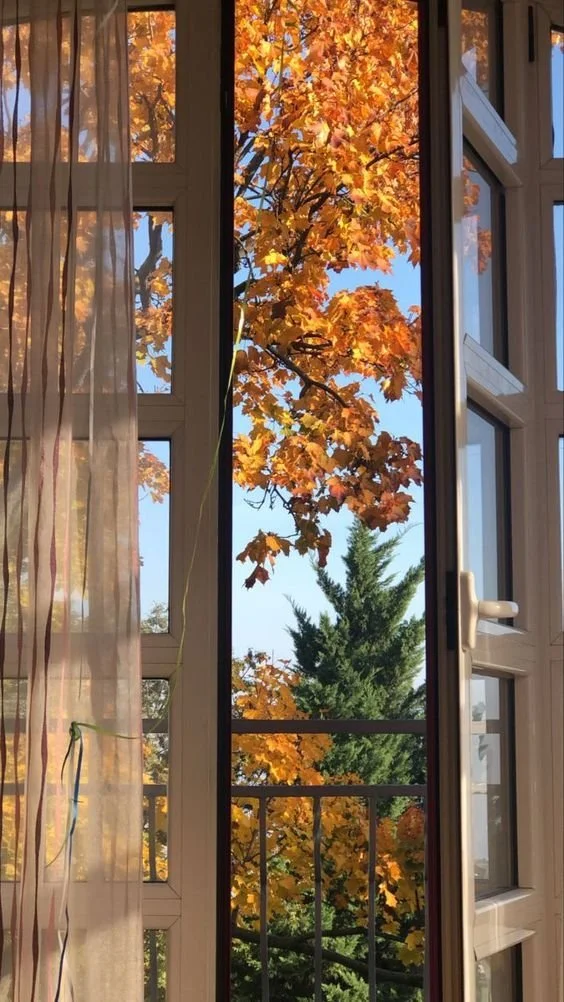 4 Tips For Nurturing Self-Worth and Forgiveness During Autumn
