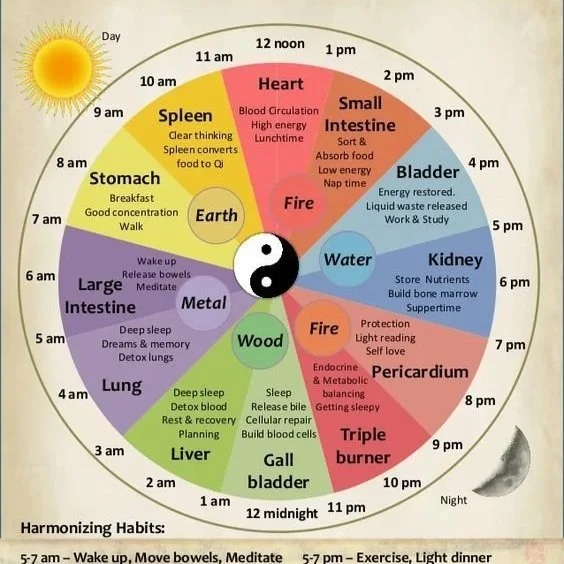 Align Your Circadian Rhythm with the T.C.M. Body Clock