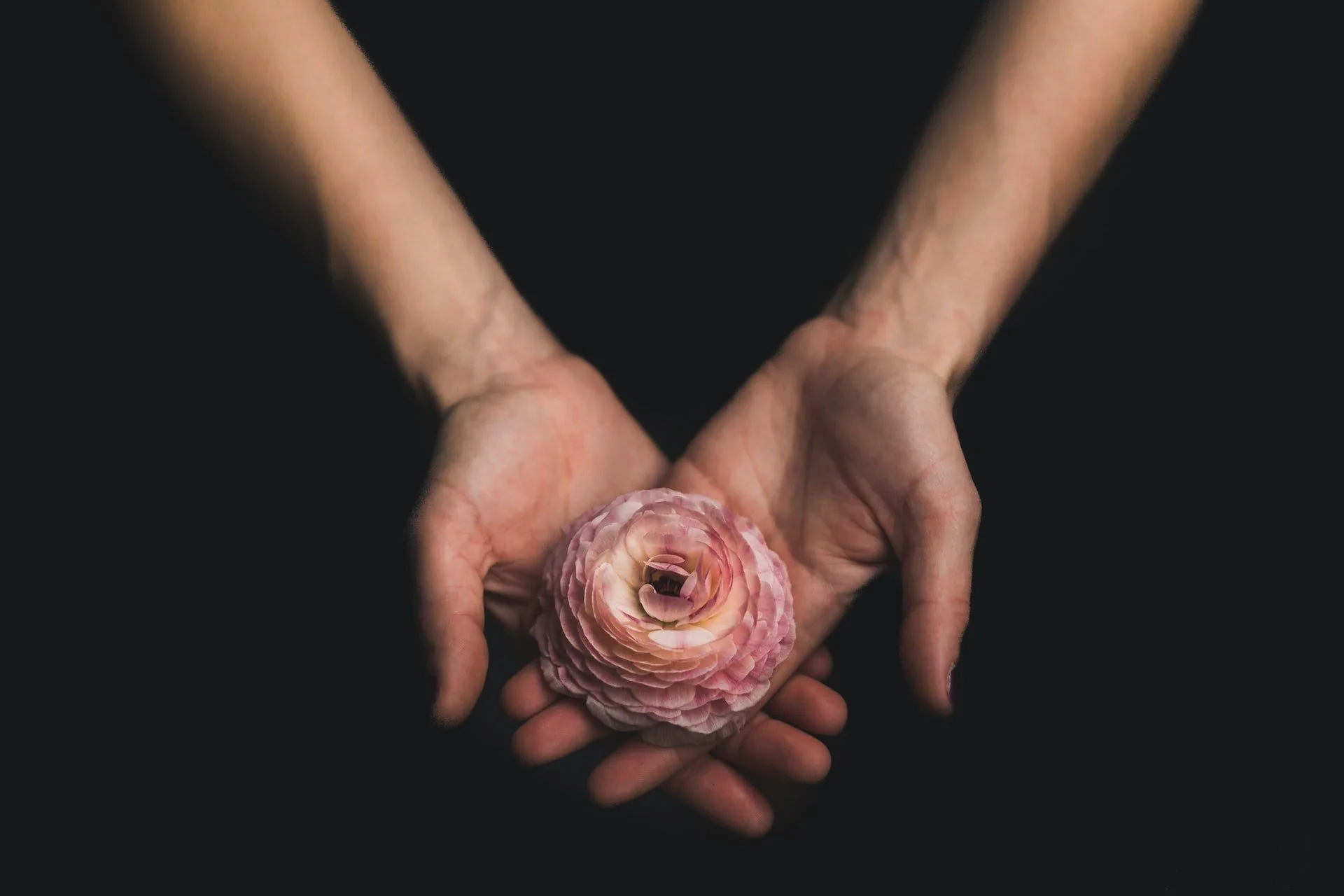 Take Inspiration From Our Students’ Projects