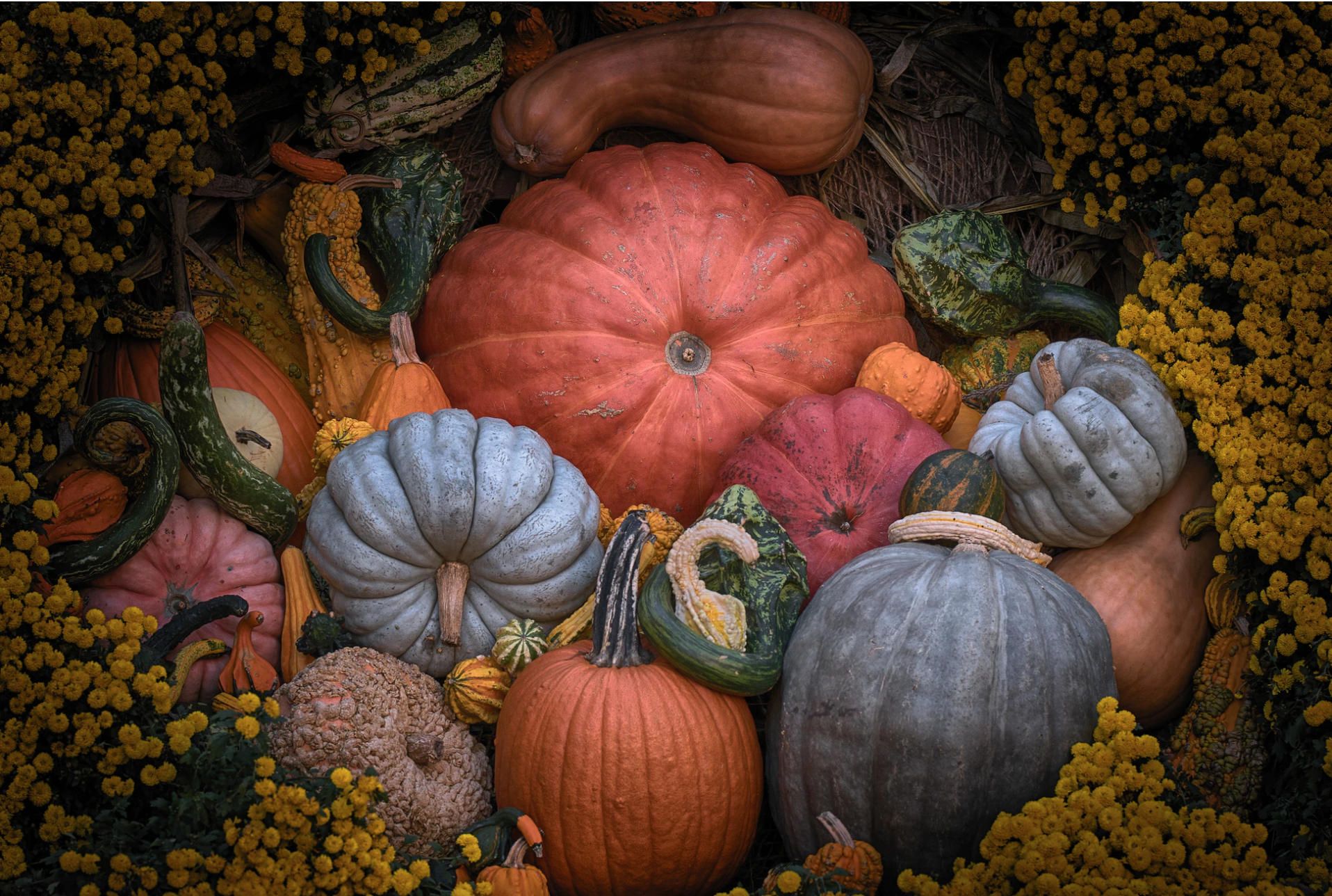 5 Tips for Strengthening Lung Health (and the Immune System) in Autumn