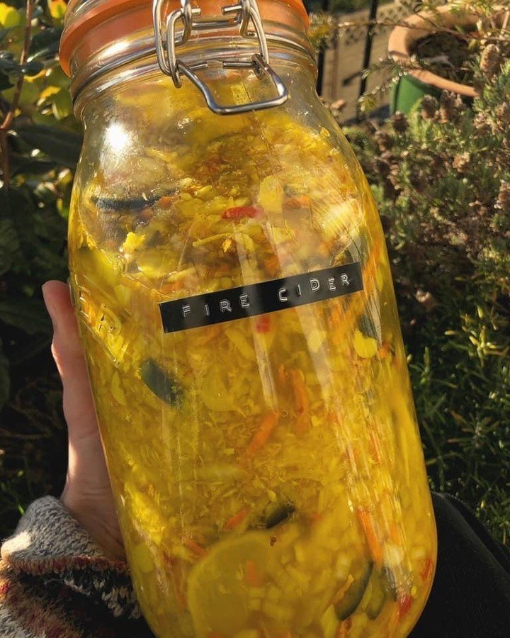 Homemade Fire Cider Recipe