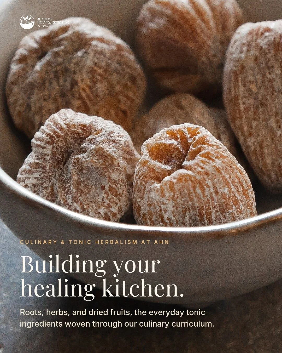 Join us September 10 at 4:00 PM EST for Food As Medicine, a free public lecture on the hidden thread through Traditional Chinese Medicine, Ayurveda, and the world&rsquo;s longevity traditions. In Brooklyn or streamed live worldwide. 

And if you&rsqu