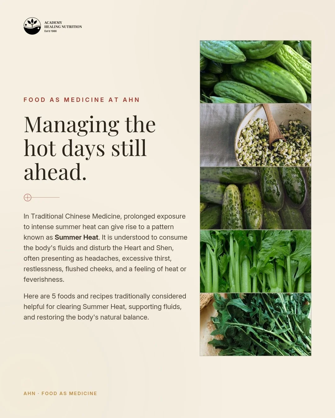 In Traditional Chinese Medicine, prolonged exposure to intense summer heat can give rise to a pattern known as Summer Heat. It&rsquo;s understood to consume the body&rsquo;s fluids and disturb the Heart and Shen, often showing up as headaches, excess