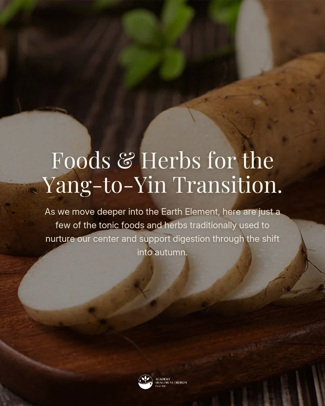 As summer&rsquo;s Yang energy begins to settle into Yin, the Earth Element takes center stage. In Chinese Medicine, this transition asks us to support the Spleen and Stomach, the organs responsible for turning what we eat into usable Qi.

Swipe throu