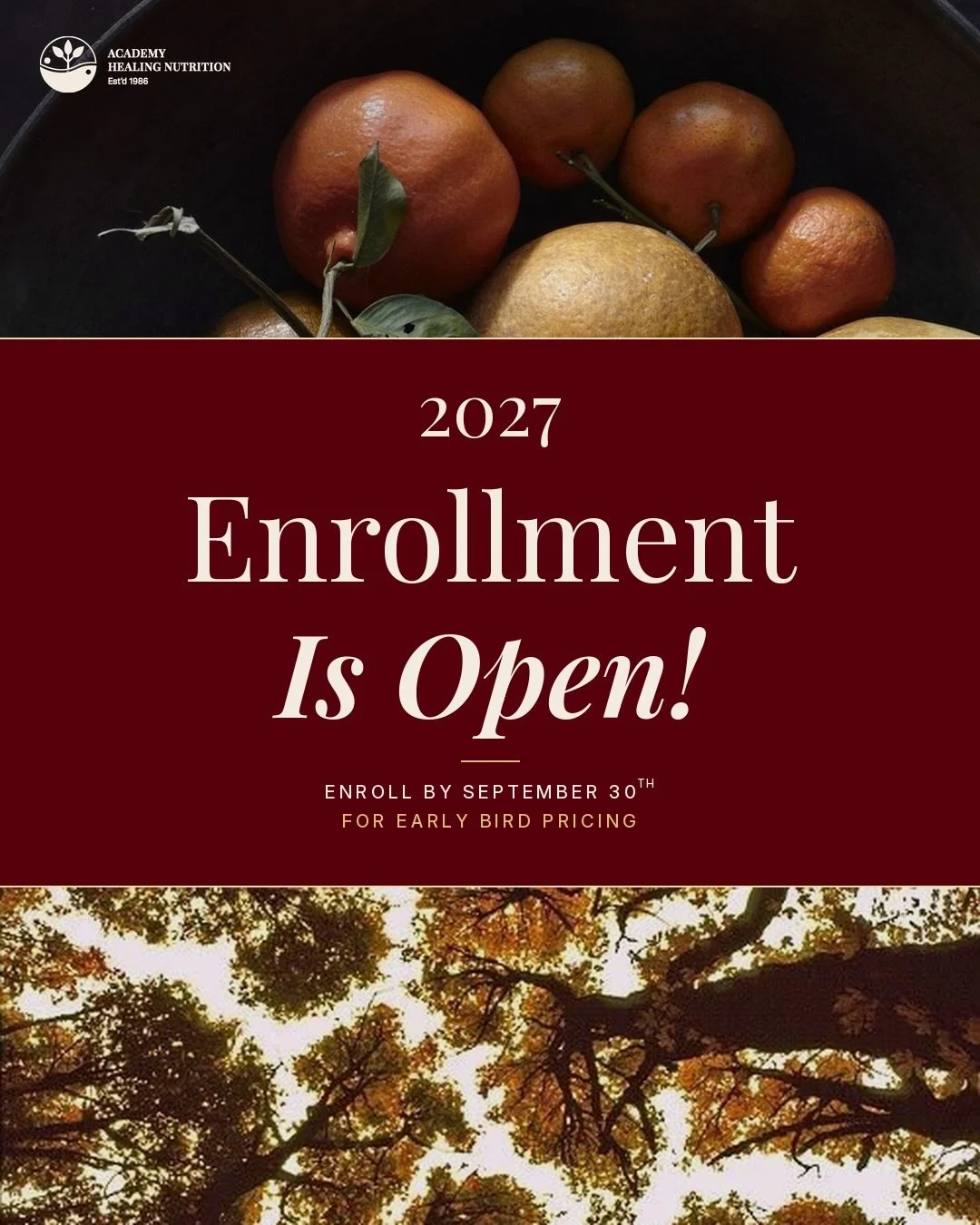 Enrollment is officially open for our 2027 Holistic Health Coaching Certification, and Early Bird pricing, our lowest of the year, is available when you enroll by September 30th.

Established in 1986, Academy Healing Nutrition is the world&rsquo;s or