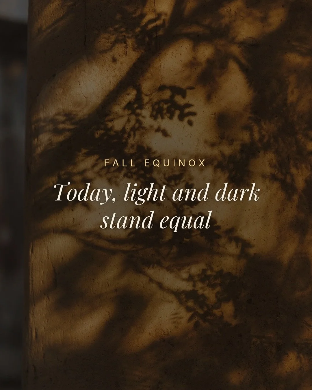 The equinox is the one day a year when light and dark actually do stand equal, before the scale tips toward the dark half of the year. But that balance is only ever a passing moment, not a place to land. In Chinese Medicine, yin and yang are never st