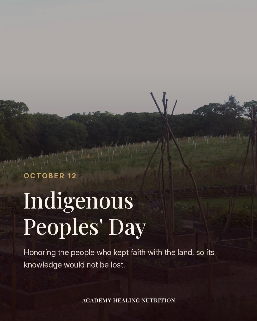 Our curriculum begins and ends in earth-based healing traditions. That means we owe something to the people who kept those traditions alive, often at enormous cost, through centuries of being told the knowledge was worthless.

So today we&rsquo;re no
