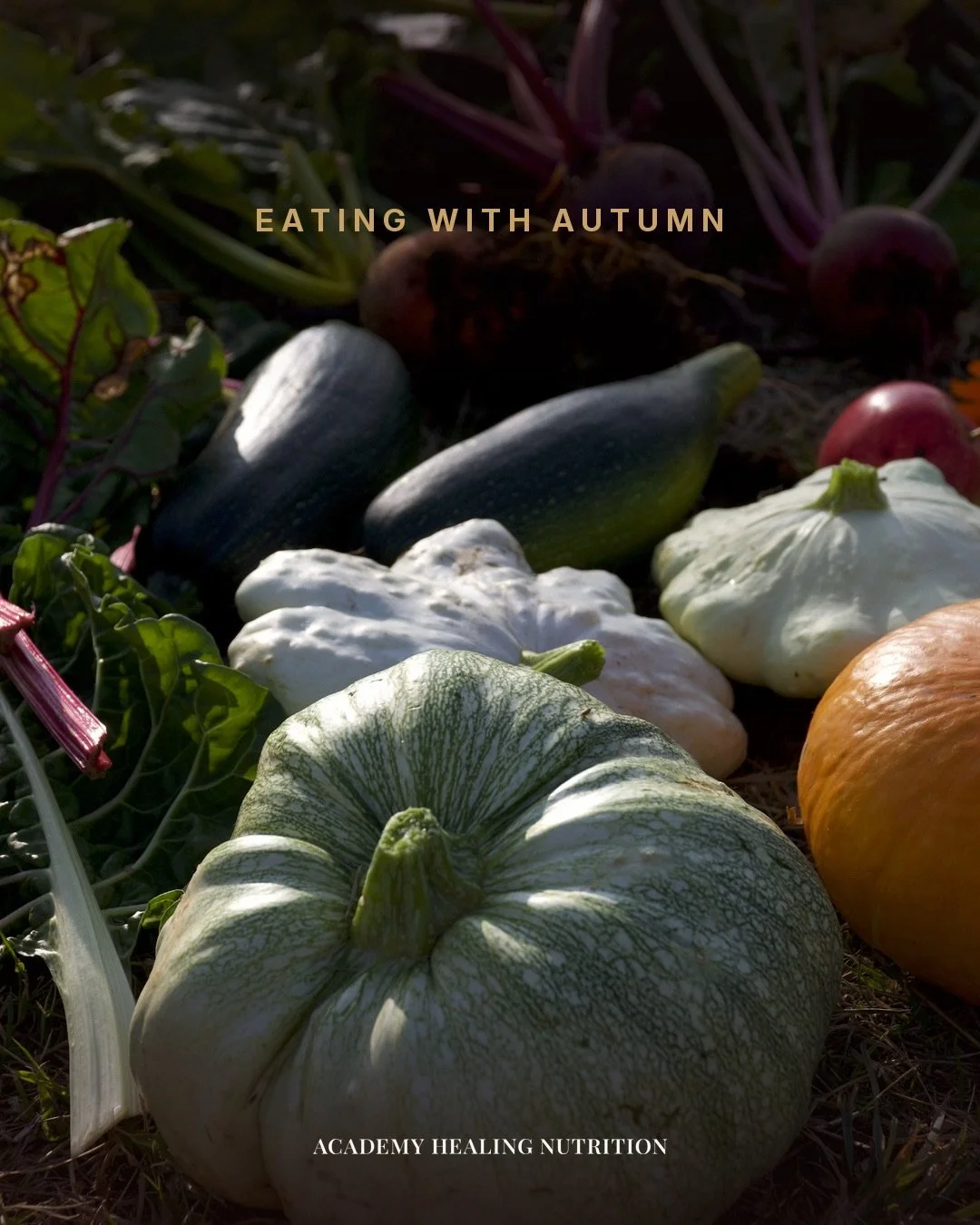 There is a moment every October where the salad stops appealing and you find yourself wanting soup at 4pm. Most people treat that as a lapse. It isn&rsquo;t. It&rsquo;s information.

Every traditional system of eating we teach from, Chinese Medicine,