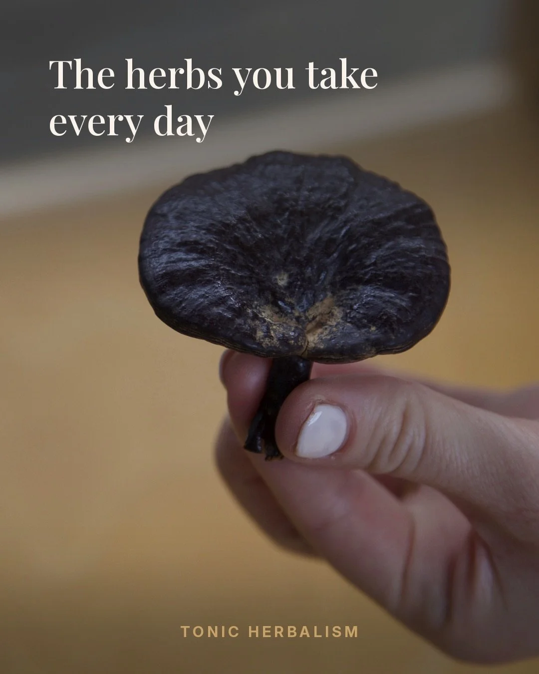 Tonic is a word marketing has worn out, so it&rsquo;s worth saying what it originally meant.

A remedy is for something. You take it when something is wrong, and you stop when it passes.

Tonic herbs are the opposite proposition. Taken daily, often f