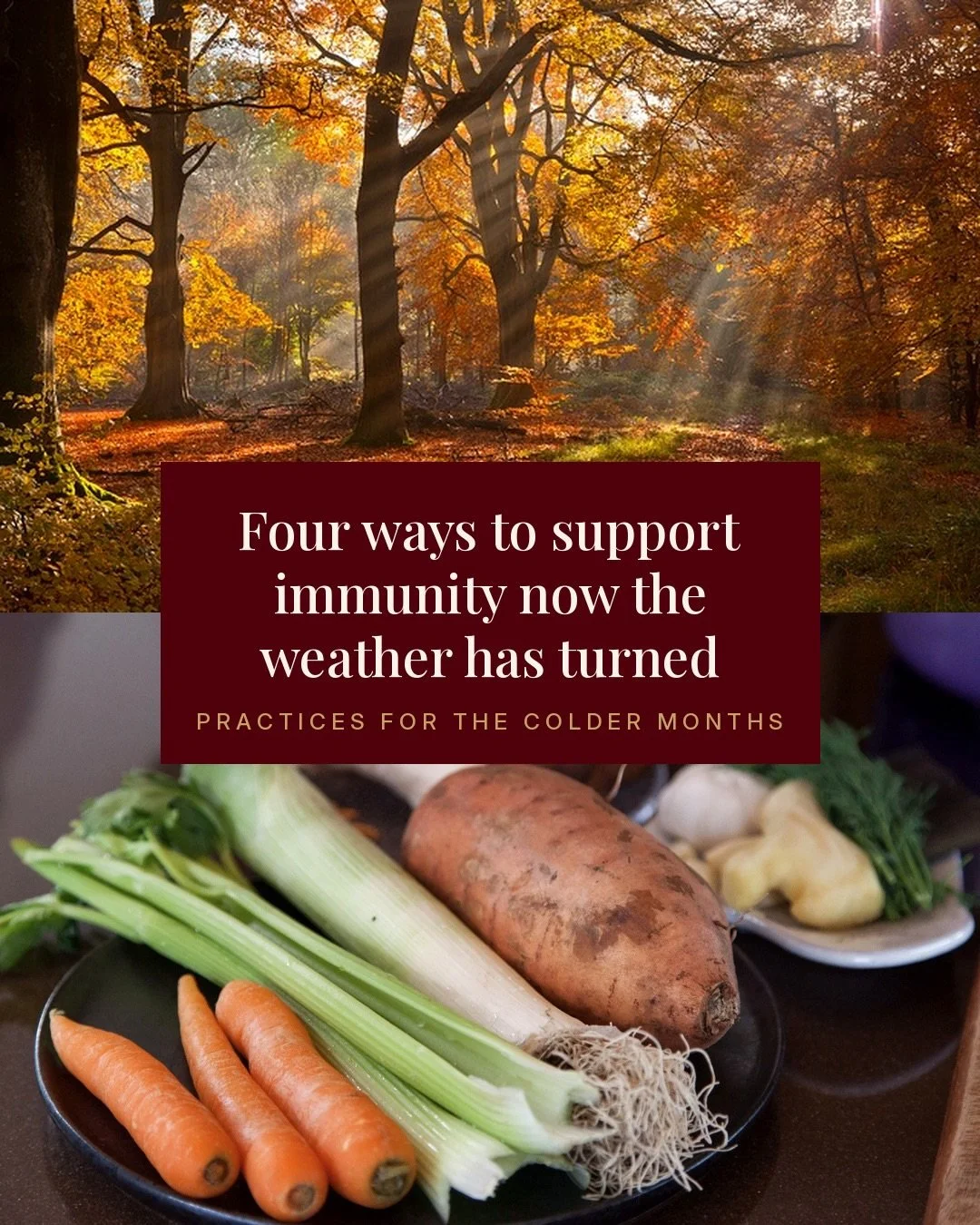 Four practices for the colder months.

Strengthen, not overstimulate.

Both of these cost nothing.

Soups, stews, and the roots the season keeps offering.

Pungent, warming, already in most kitchens.

Three days, live, starting October 20.