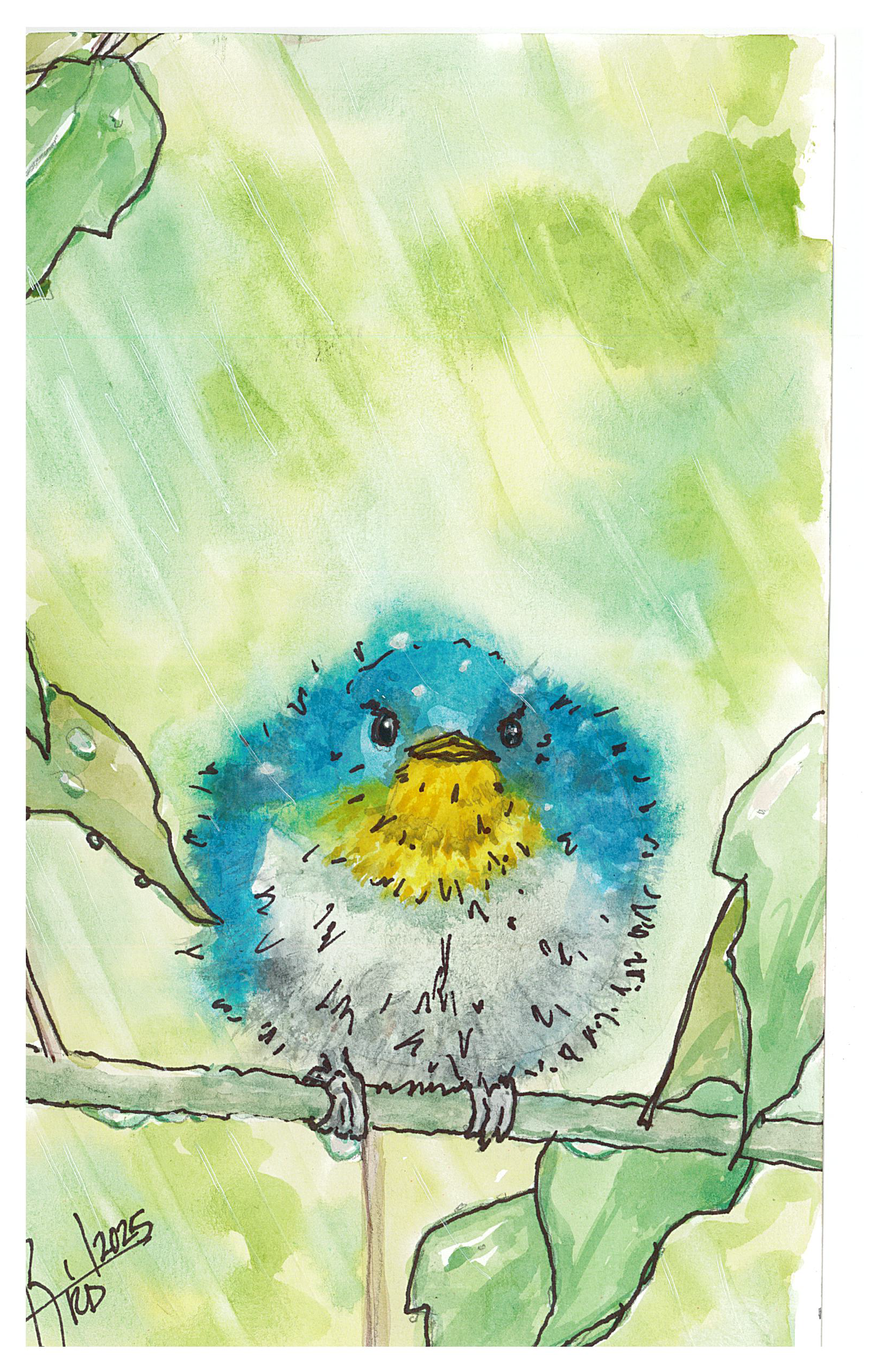 Colorful watercolor illustration of a blue and yellow bird perched on a green leafy branch with a green background.