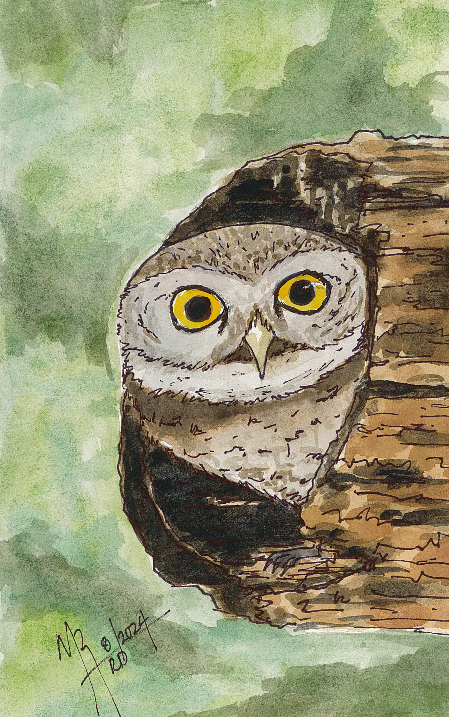 Watercolor painting of a barn owl perched on a tree stump against a green background.