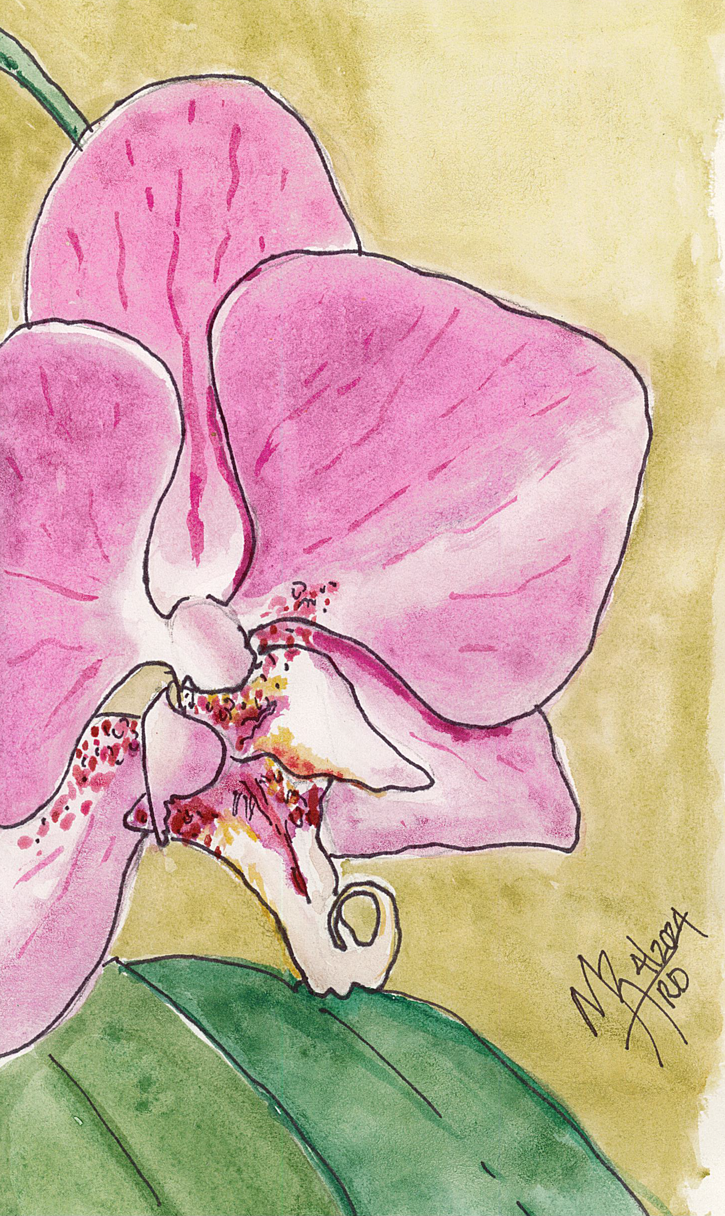 A watercolor painting of a pink orchid flower with green leaves.