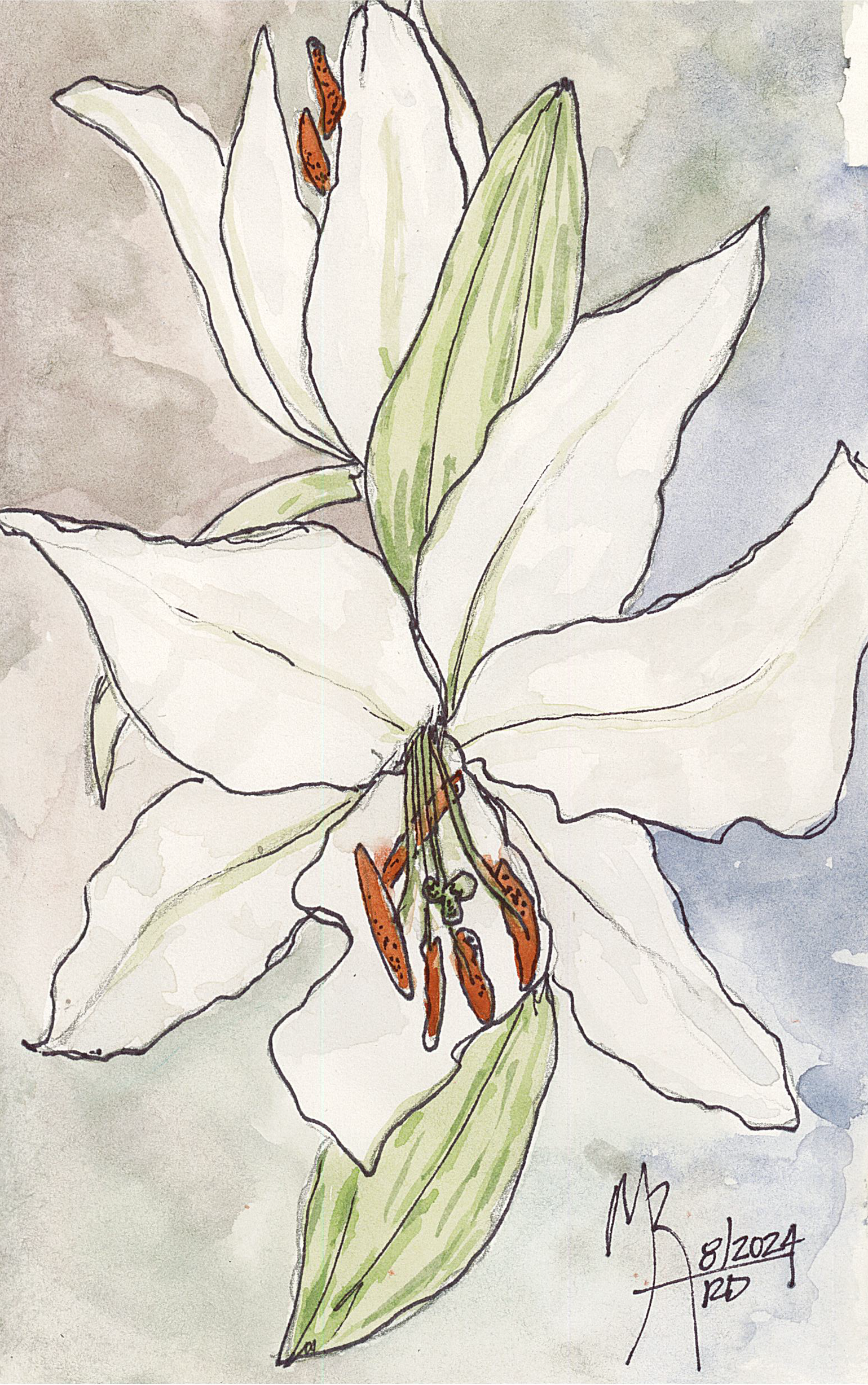 A watercolor painting of a white lily with orange stamen and green leaves.