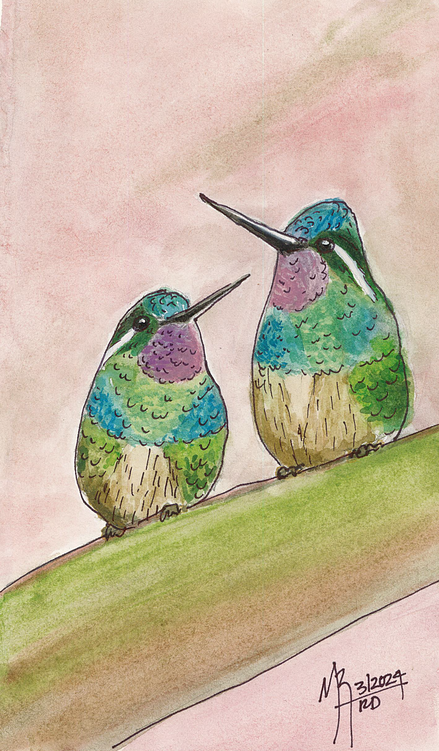 Watercolor painting of two colorful hummingbirds perched on a branch with a pink sky background.