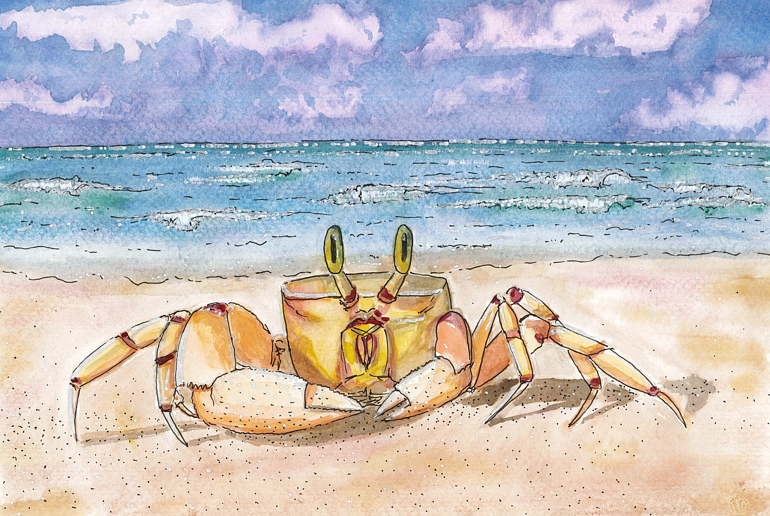 Watercolor painting of a crab on the beach with the ocean and cloudy sky in the background.