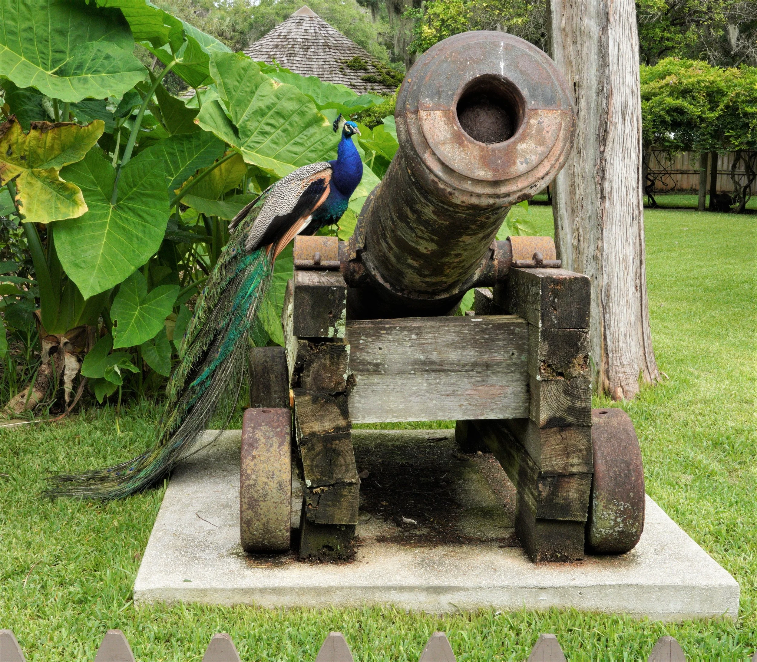 DOS04764.JPG