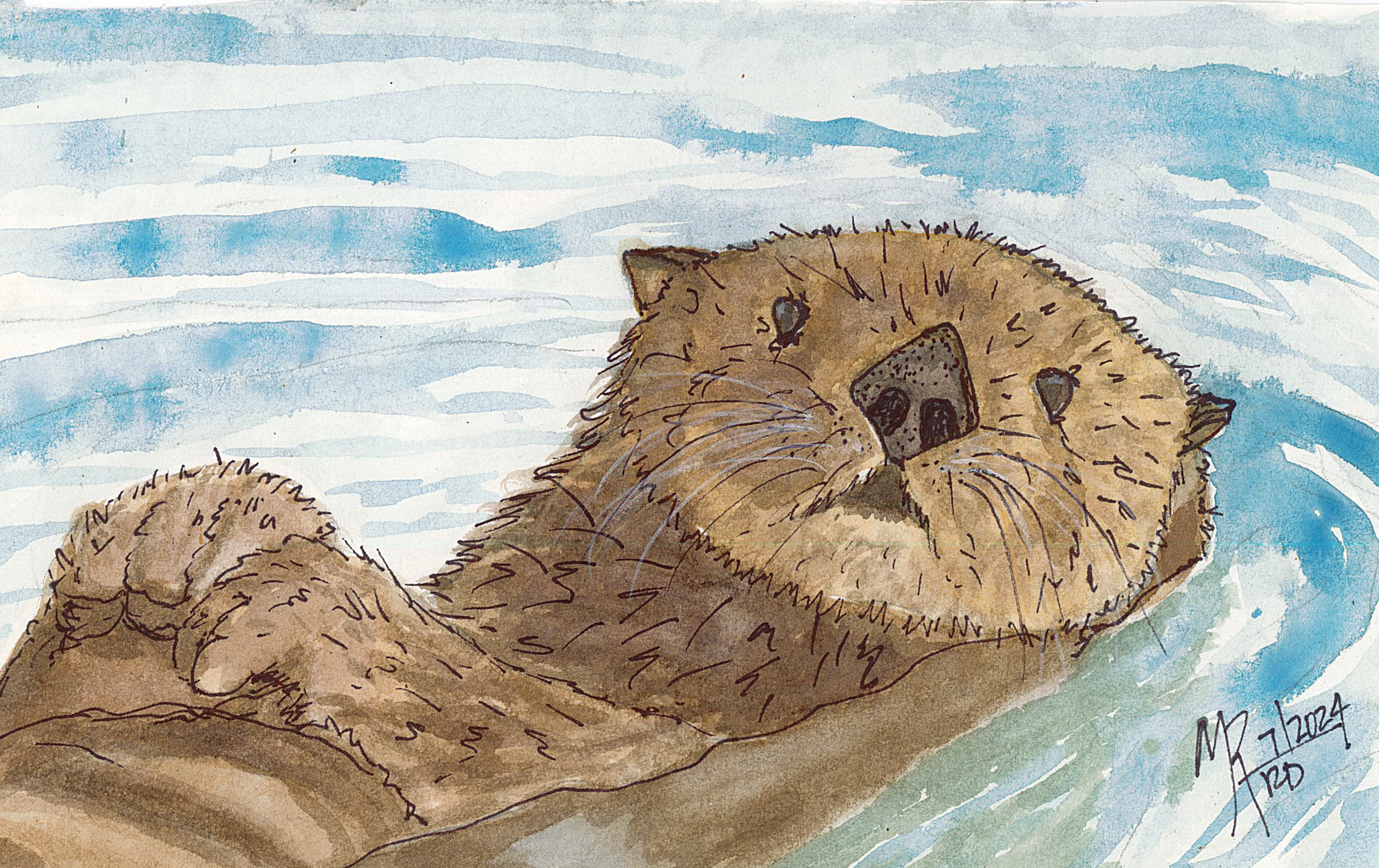 Watercolor painting of an otter floating on its back in blue water.