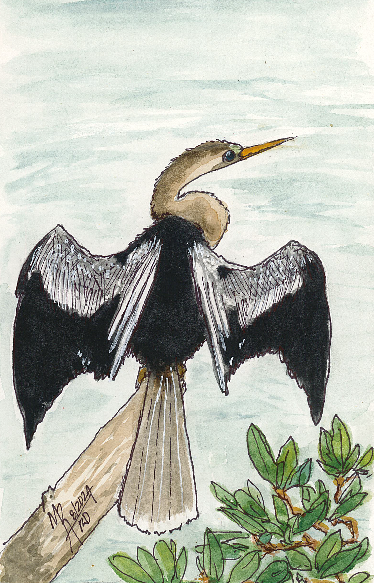 Watercolor illustration of an anhinga, perched on a branch with green leaves, background with watery tones.