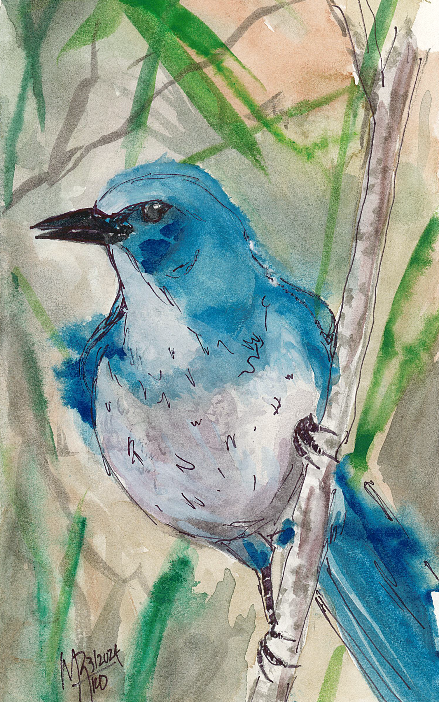 Watercolor painting of a Florida scrub jay perched on a branch with green foliage in the background.