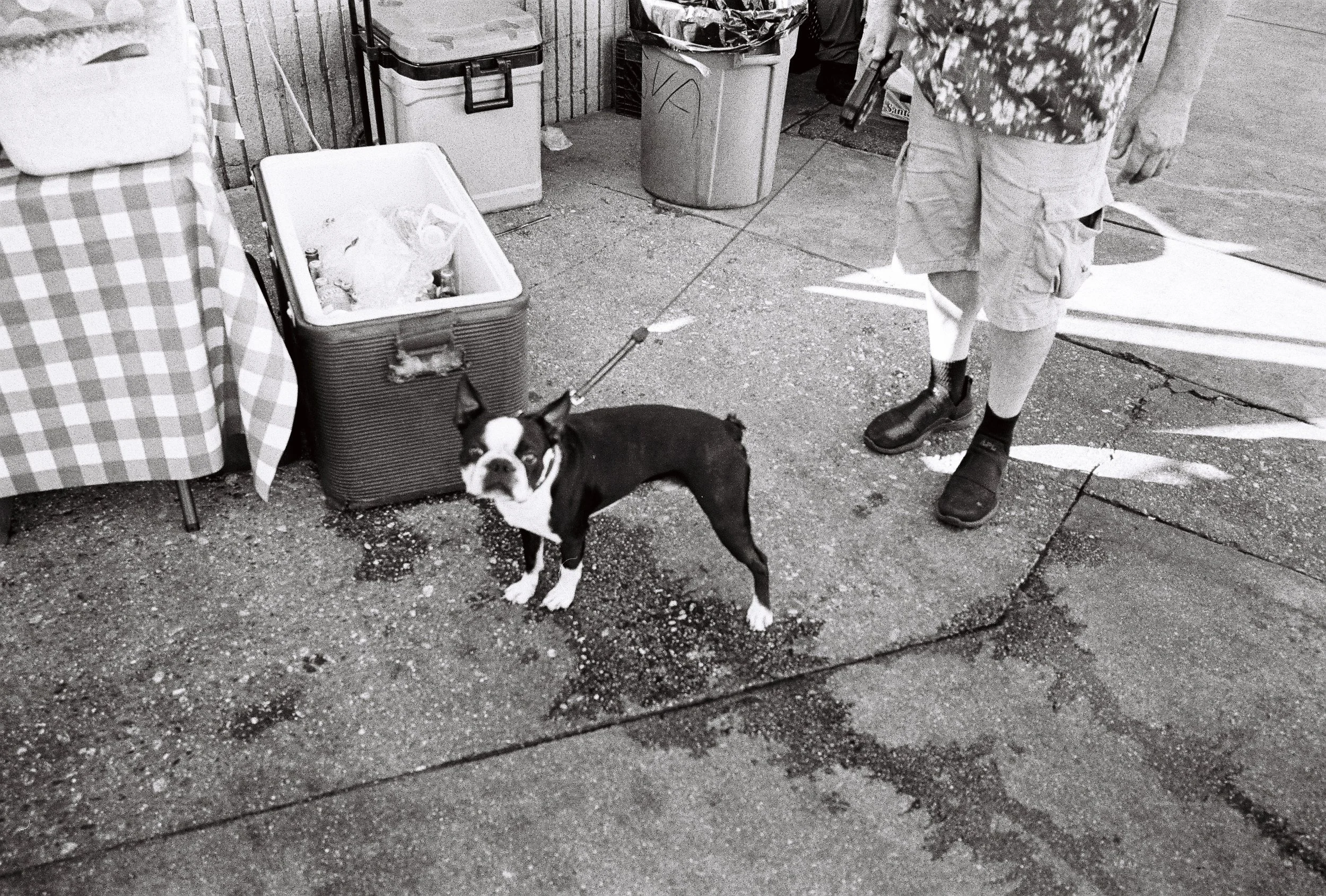 R1-00269-0024.jpeg