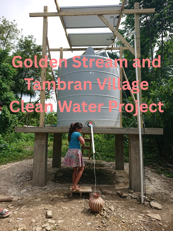 Golden Stream and Tambran Village Clean Water Project (1).png