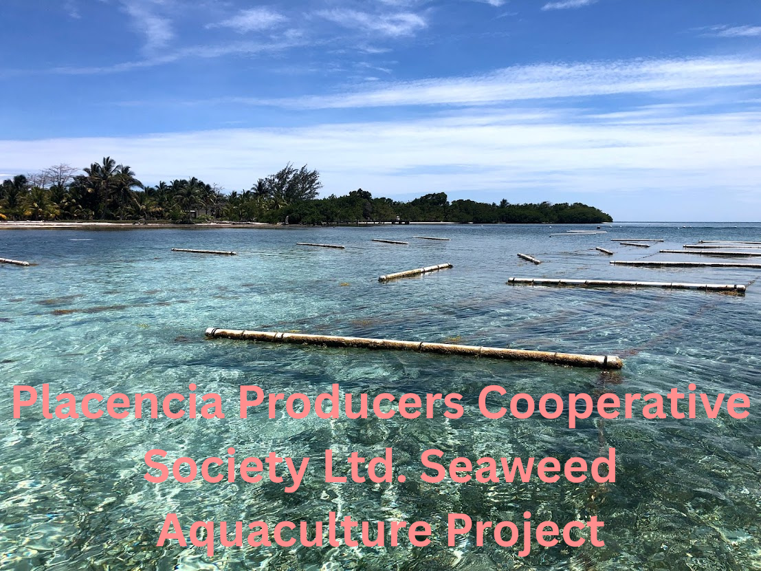 Placencia Producers Cooperative Society Ltd. Seaweed Aquaculture Project.png