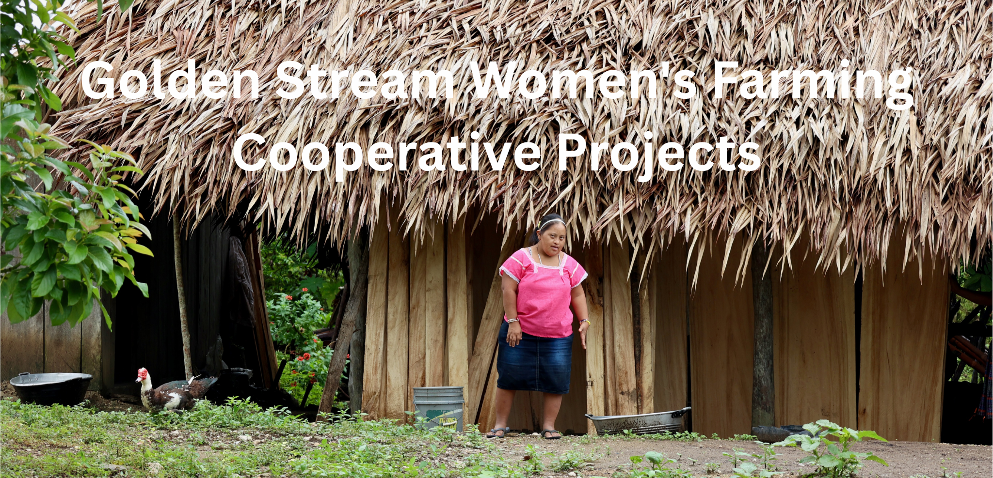 Golden Stream Women's Farming Cooperative Projects.png