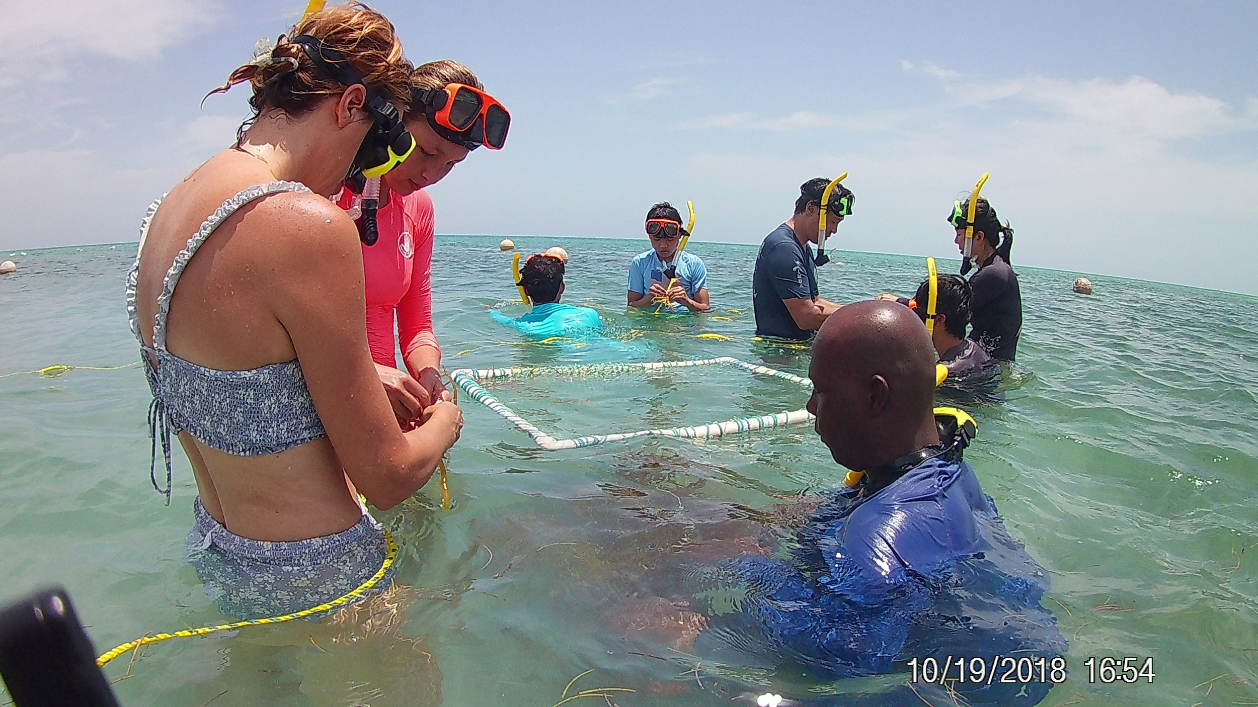 Seaweed Farming Pics with the students 6 (1).JPG