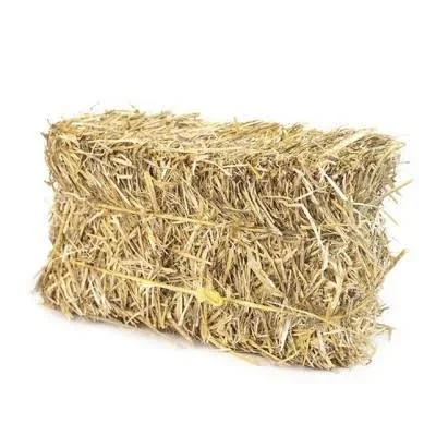 Mini Hay Bale