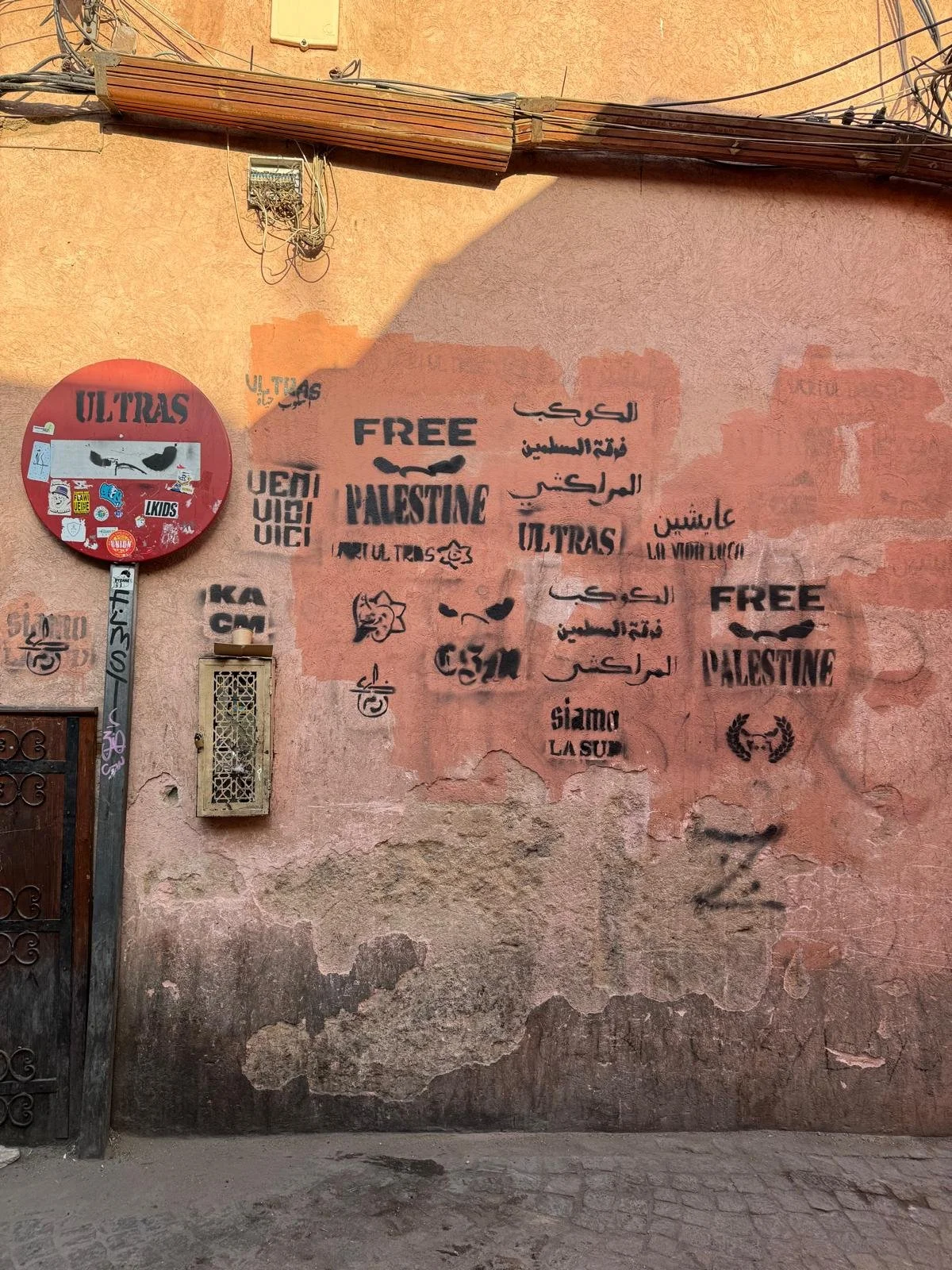 Wall with graffiti and posters, featuring text in English and Arabic, promoting Palestine, with messages like "Free Palestine" and "We are the land." Graffiti includes stylized text, symbols, and stickers.