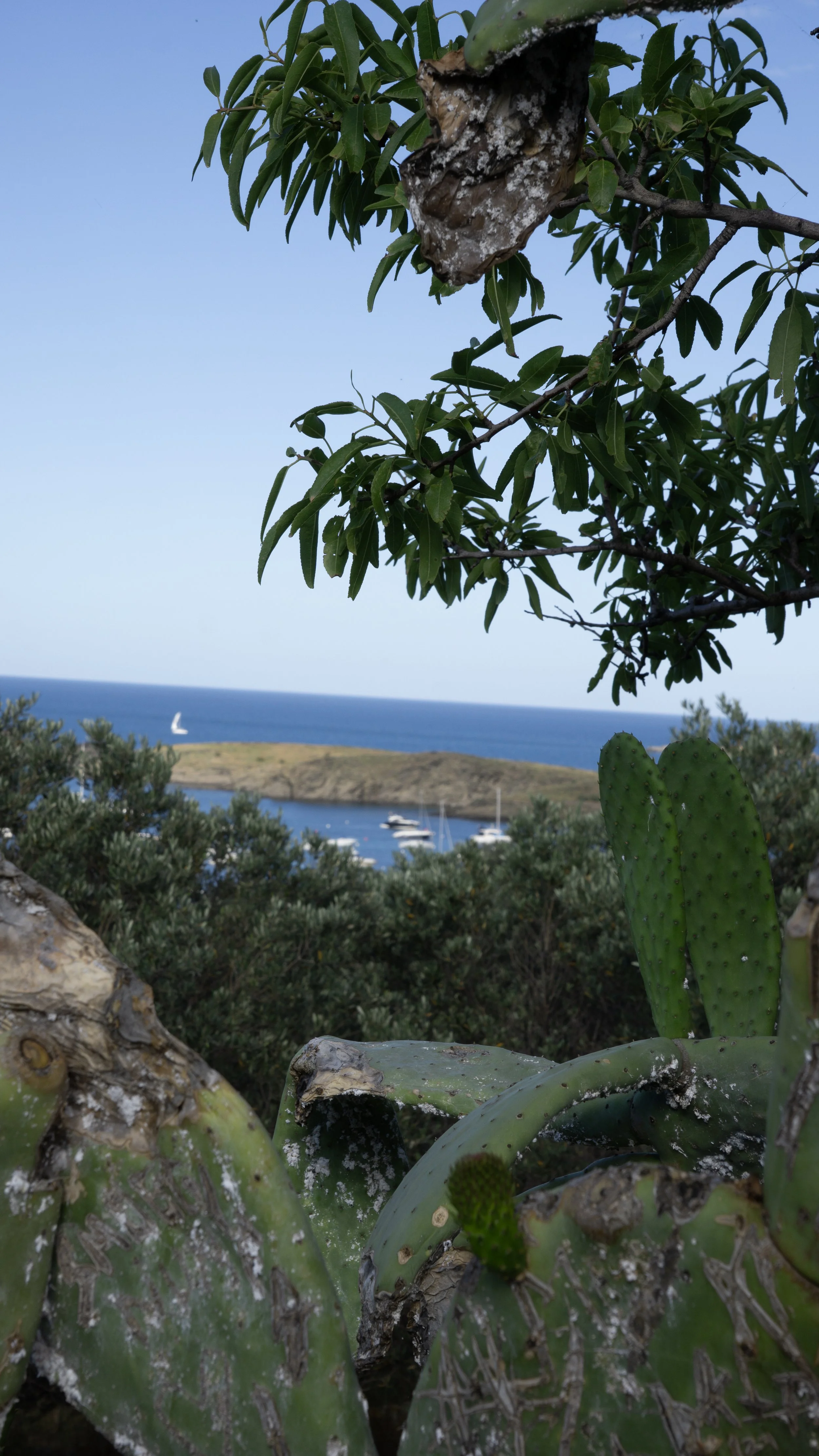 DSC03584.jpg