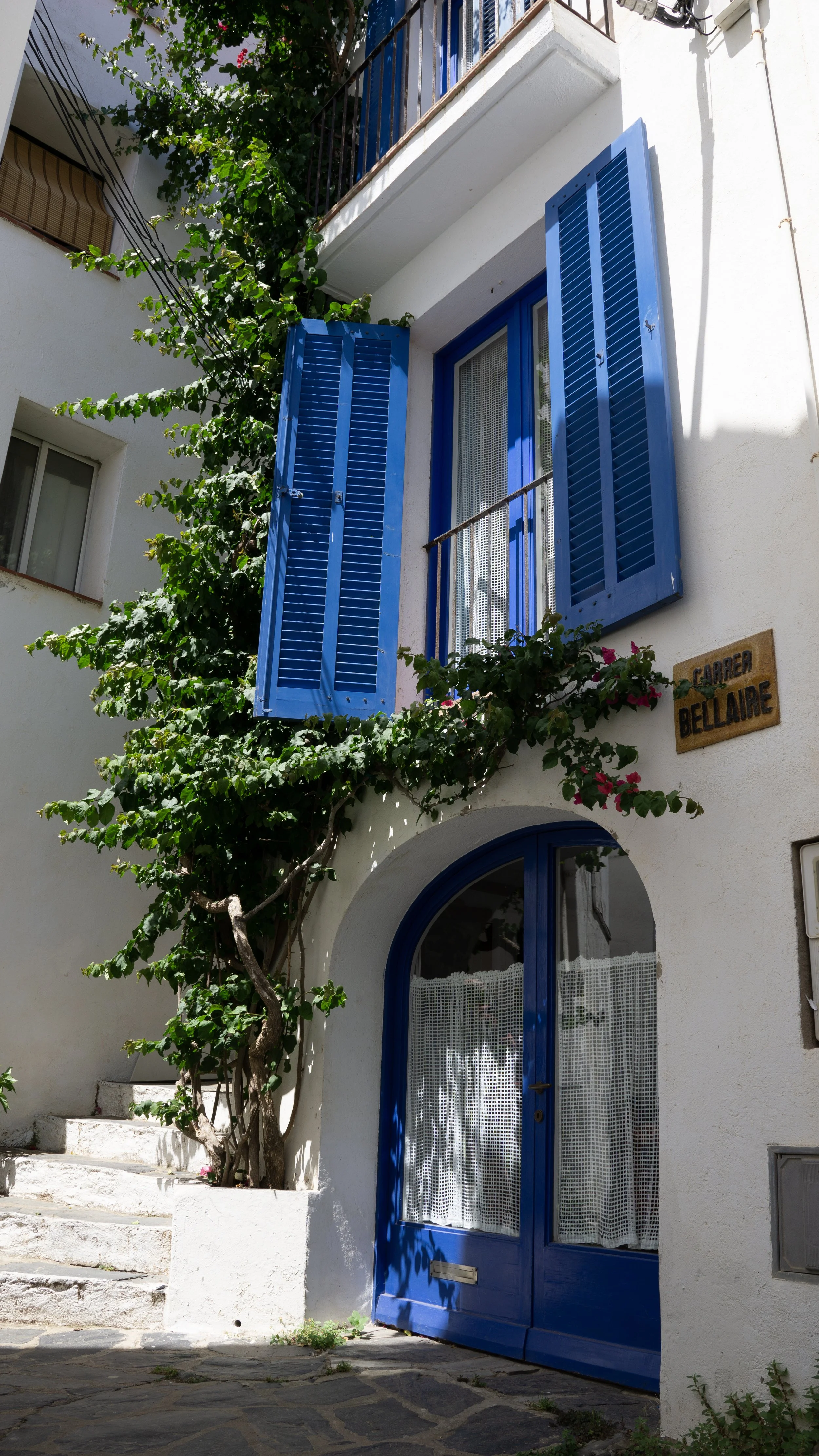 DSC03175.jpg