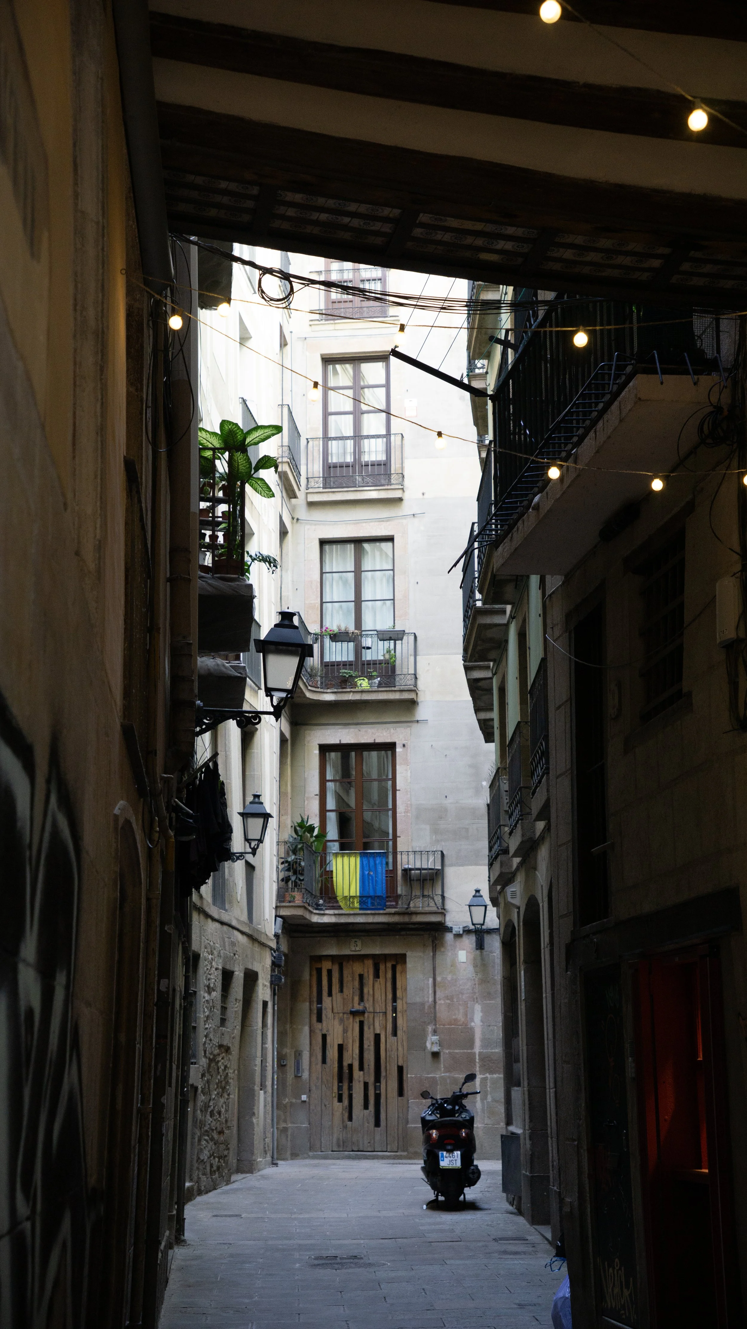 DSC01971.jpg