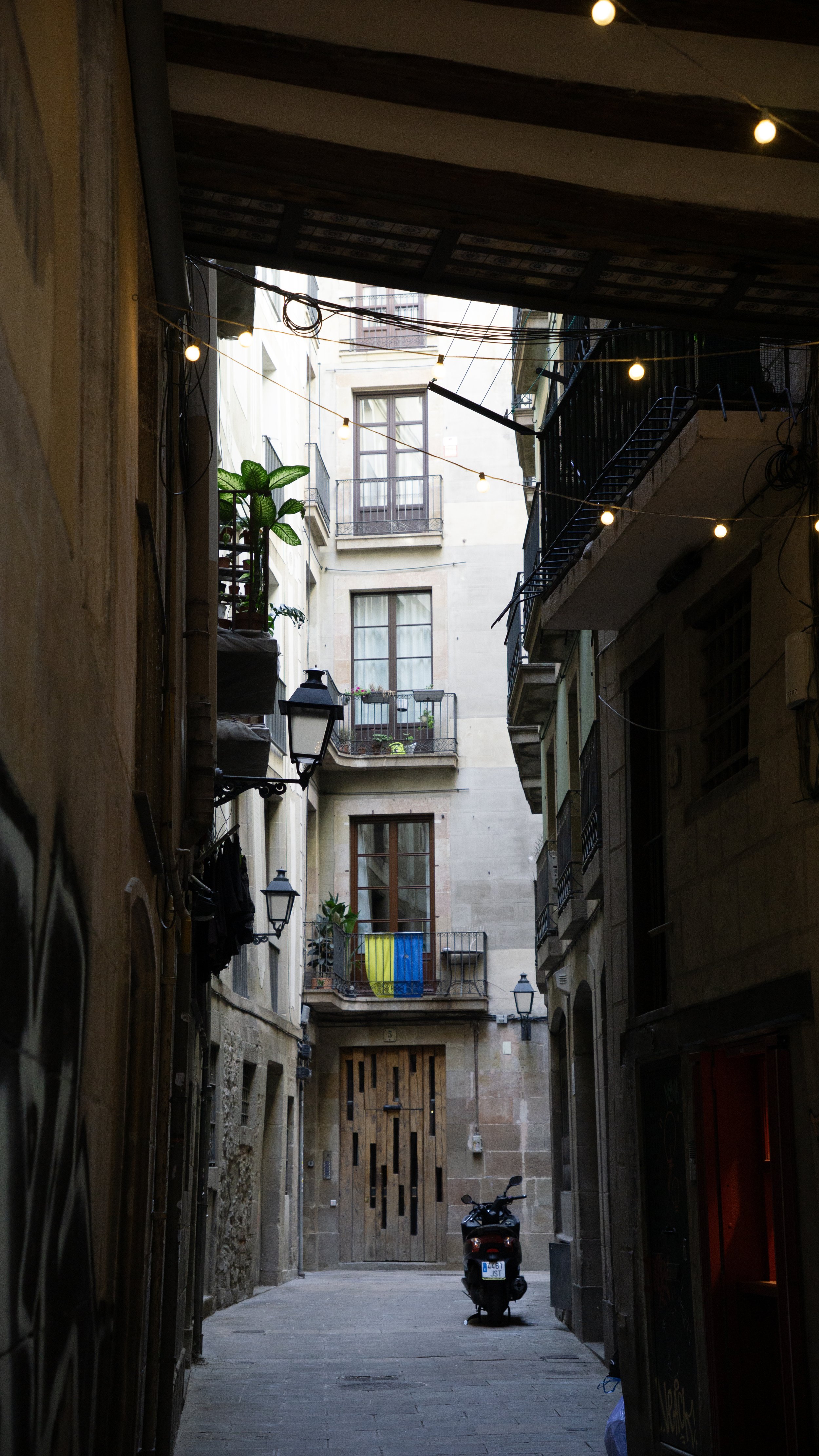 DSC01971.jpg