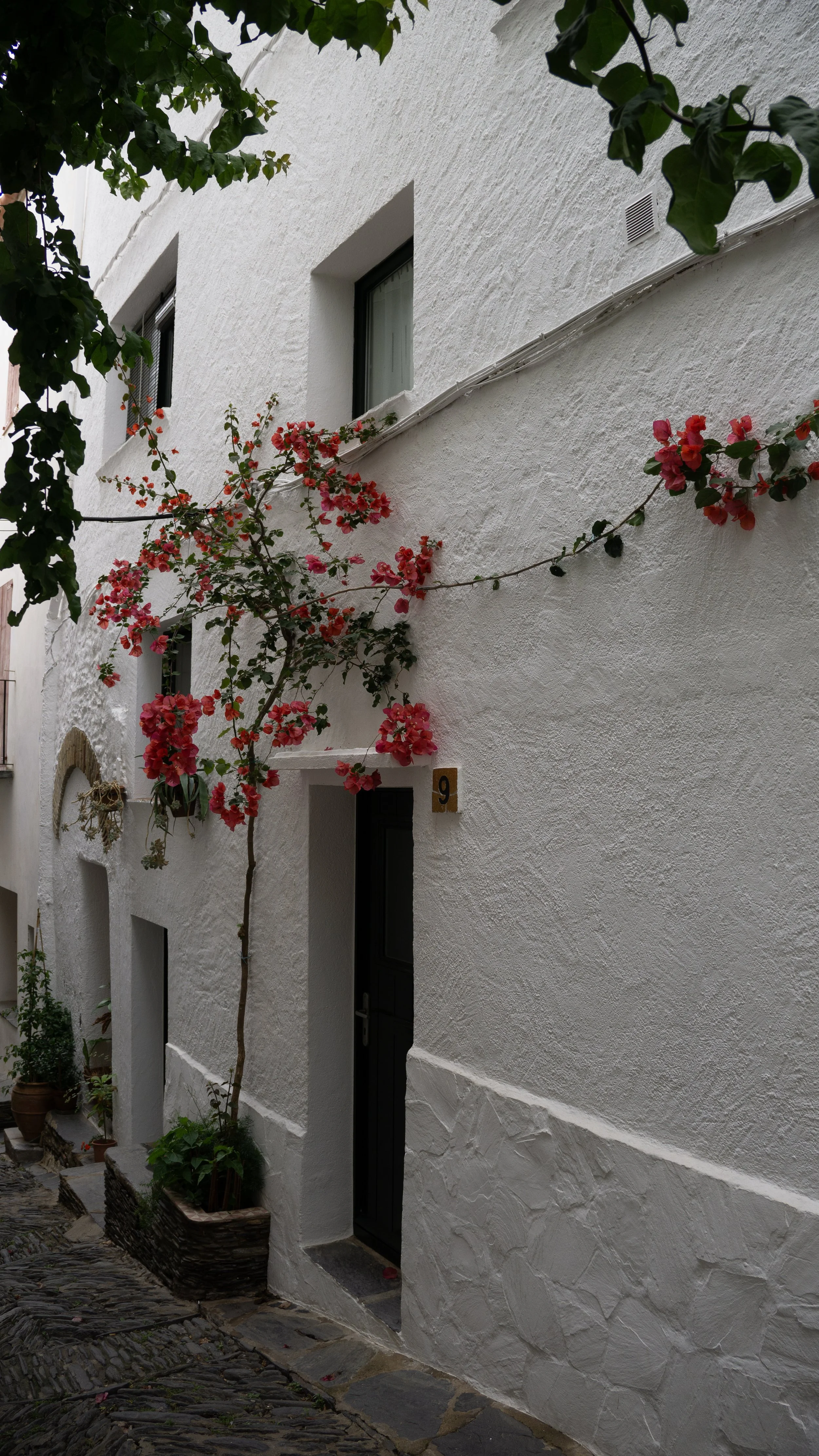 DSC03054.jpg