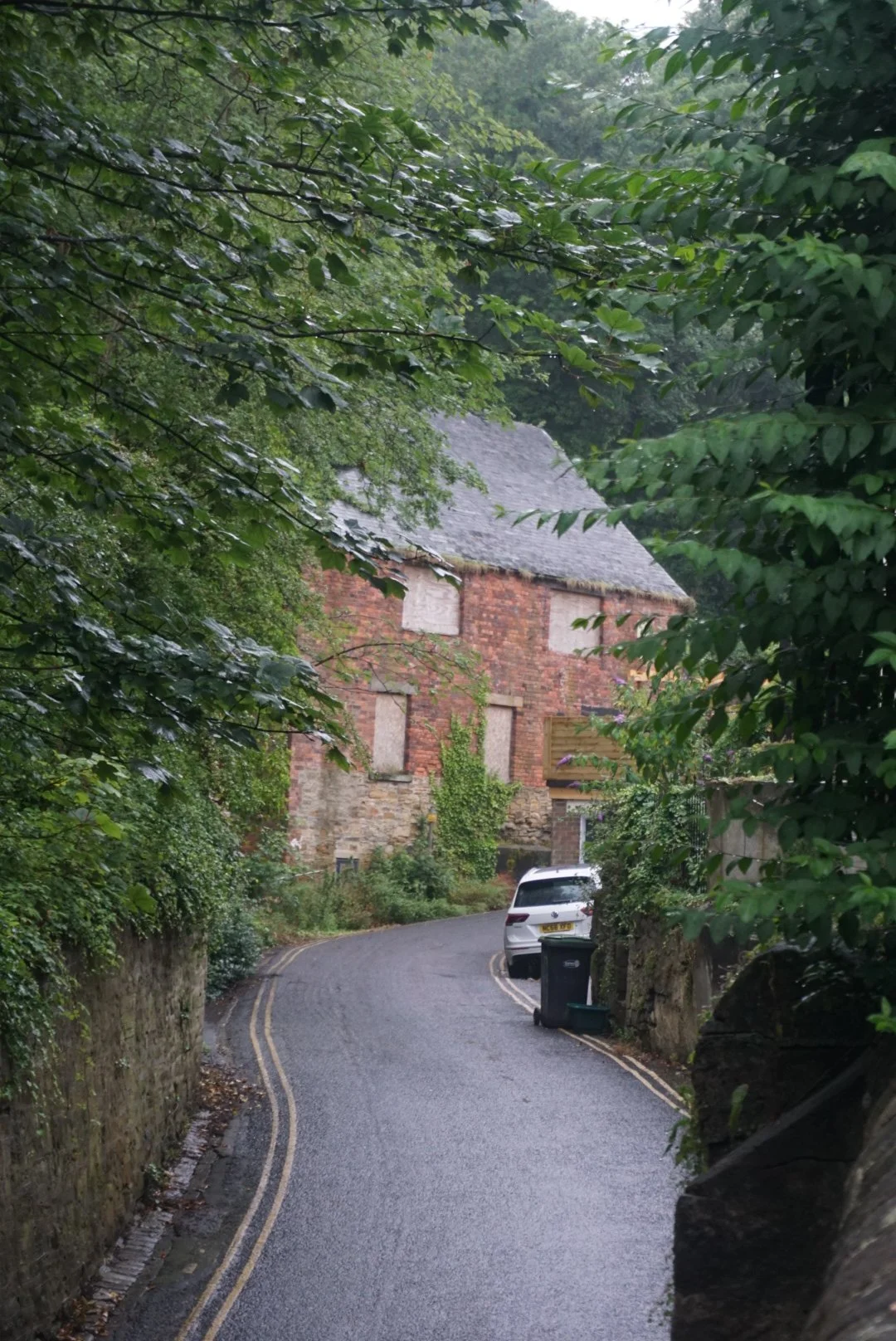 DSC03480.JPG