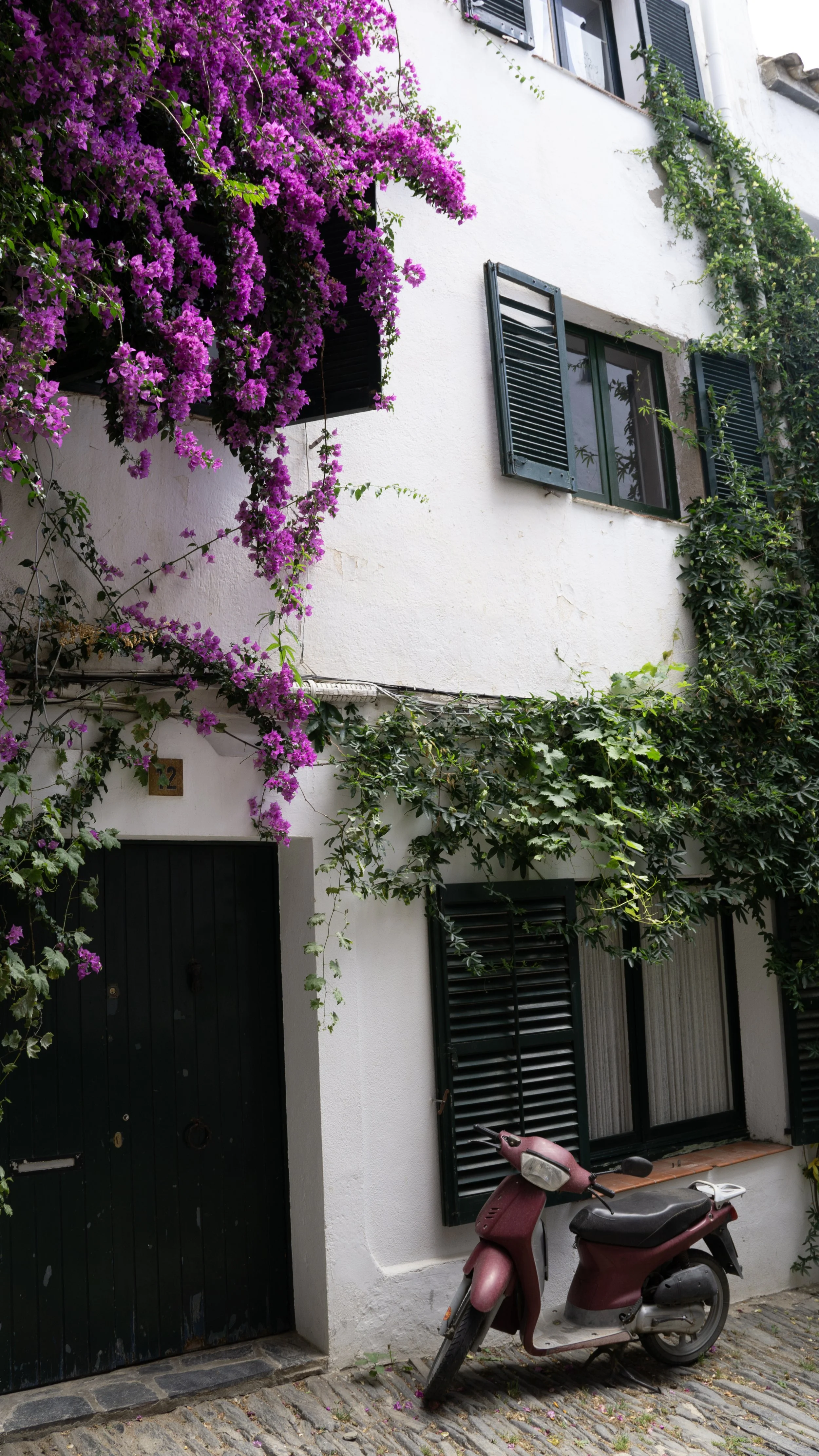DSC03143.jpg