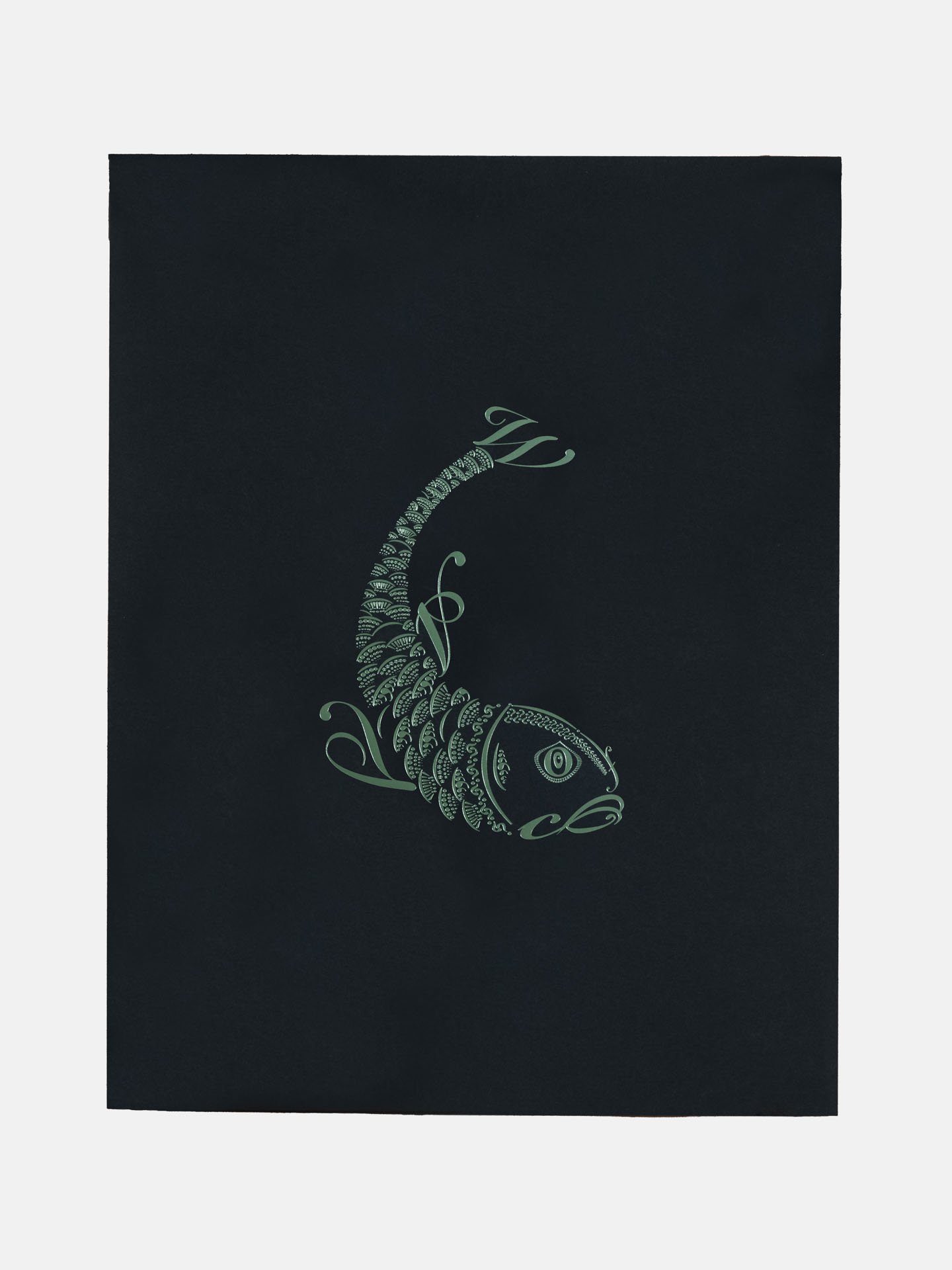 Diving Fish