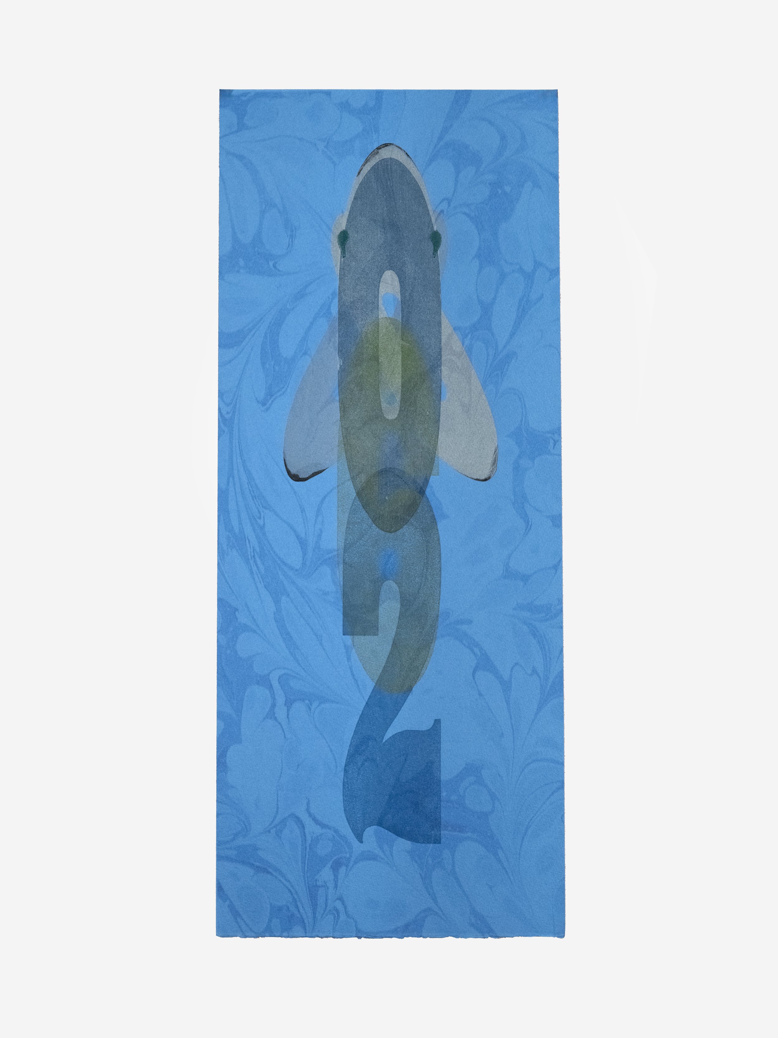 Nurse Shark