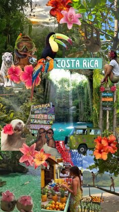 Monteverde Experience Photo Collage