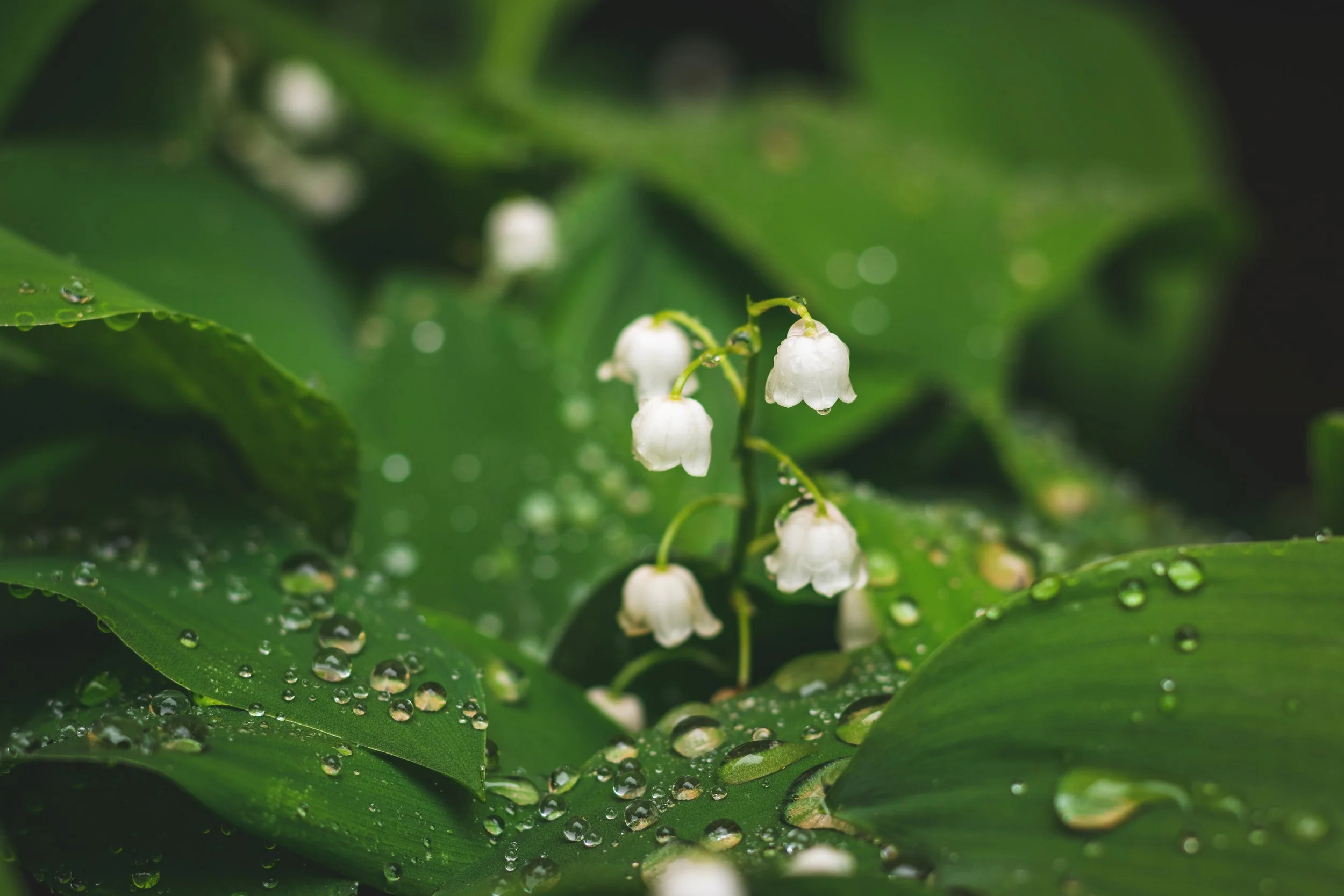 什麼是 ThetaHealing®？認識希塔療癒的第一步