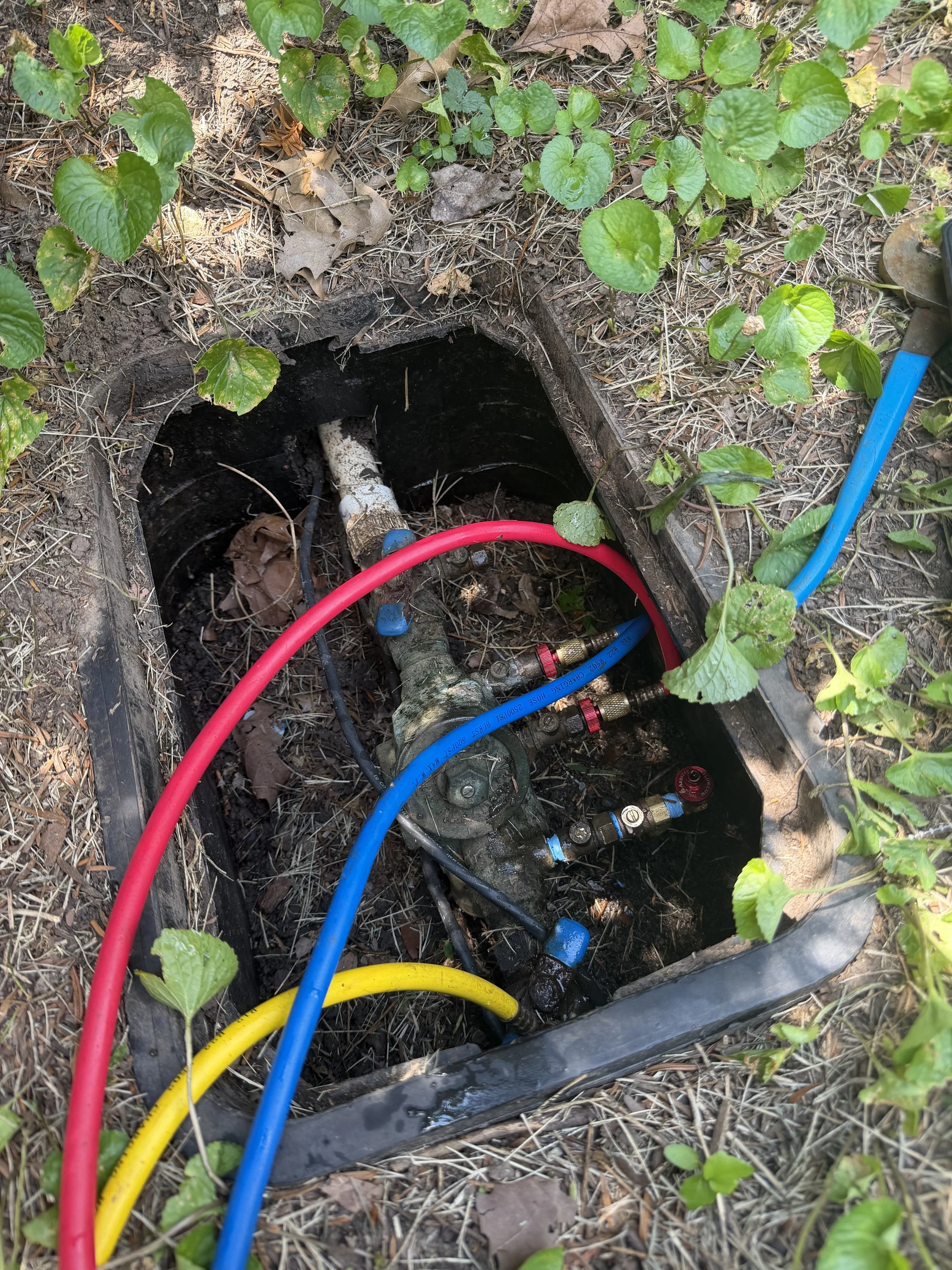 Underground irrigation system with red, yellow, blue, and black hoses connected to a pipe underground, surrounded by green plants and dry leaves.