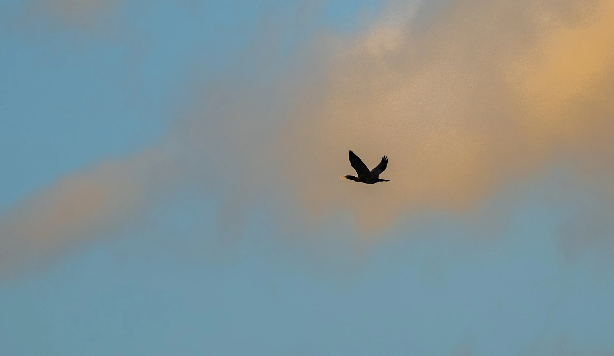 DSC_2540.jpg